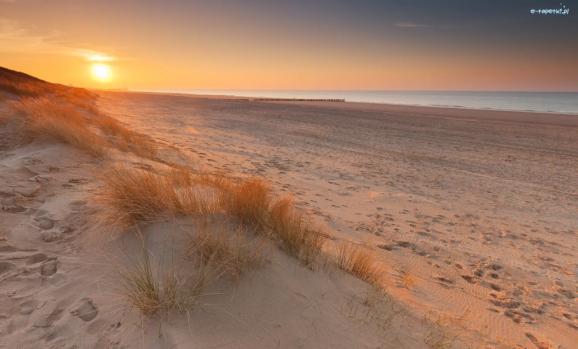 Piasek, Morze Północne, Plaża, Wschód słońca, Cadzand, Holandia