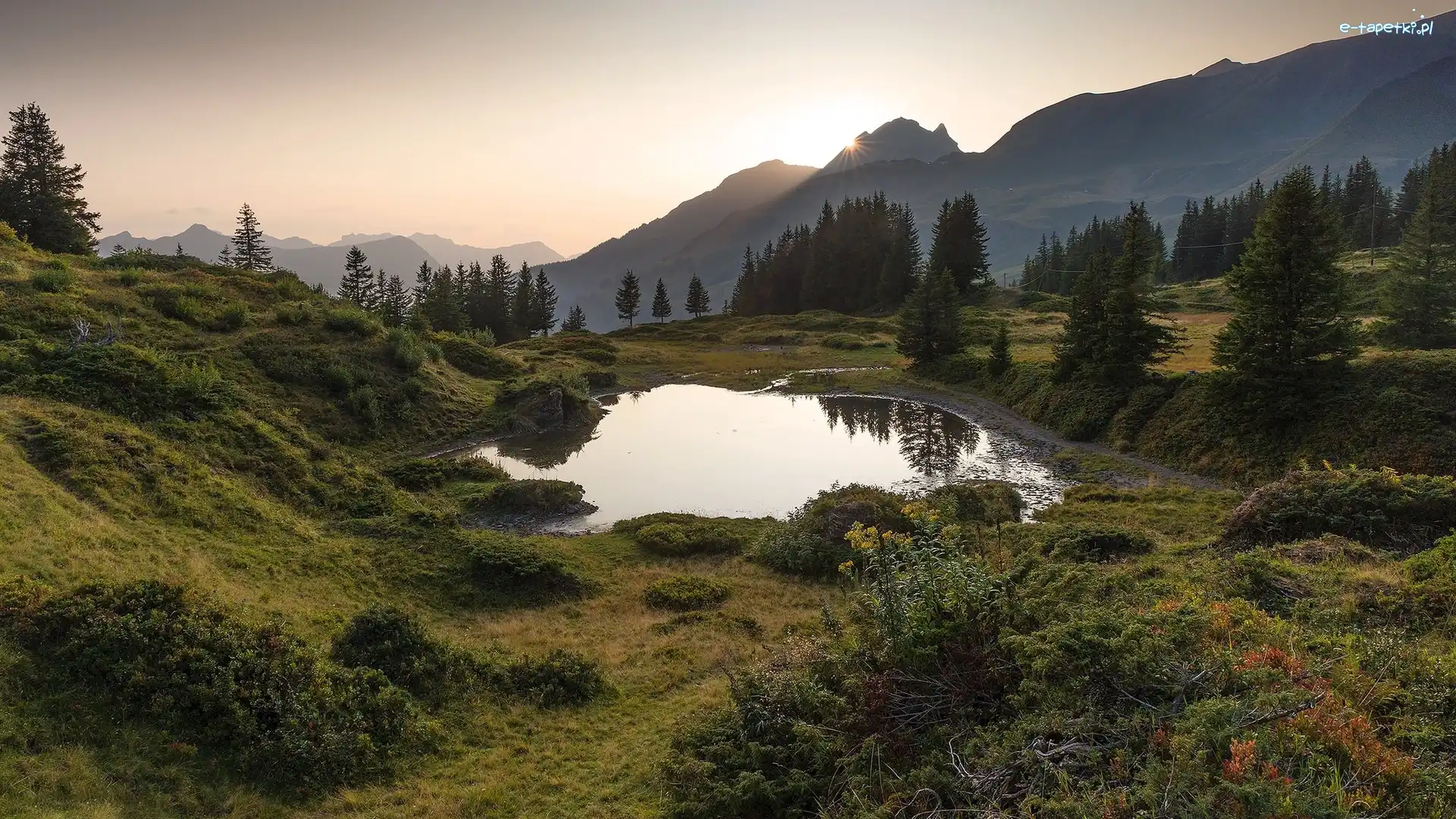 Słońce, Przełęcz Grosse Scheidegg, Jezioro, Góry Alpy Berneńskie, Szwajcaria, Rośliny, Drzewa