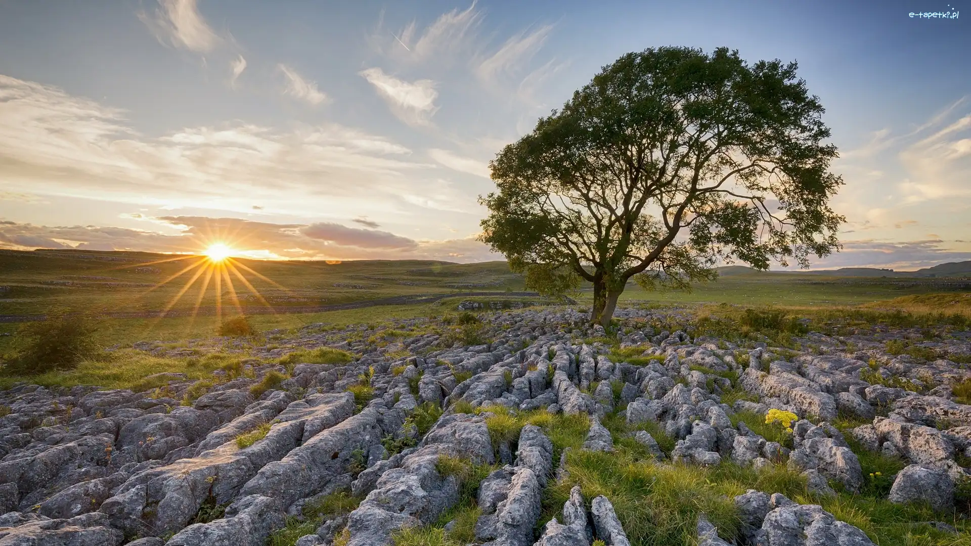 Wschód słońca, Hrabstwo North Yorkshire, Kamienie, Jesion, Park Narodowy Yorkshire Dales, Skały wapienne, Drzewo, Anglia