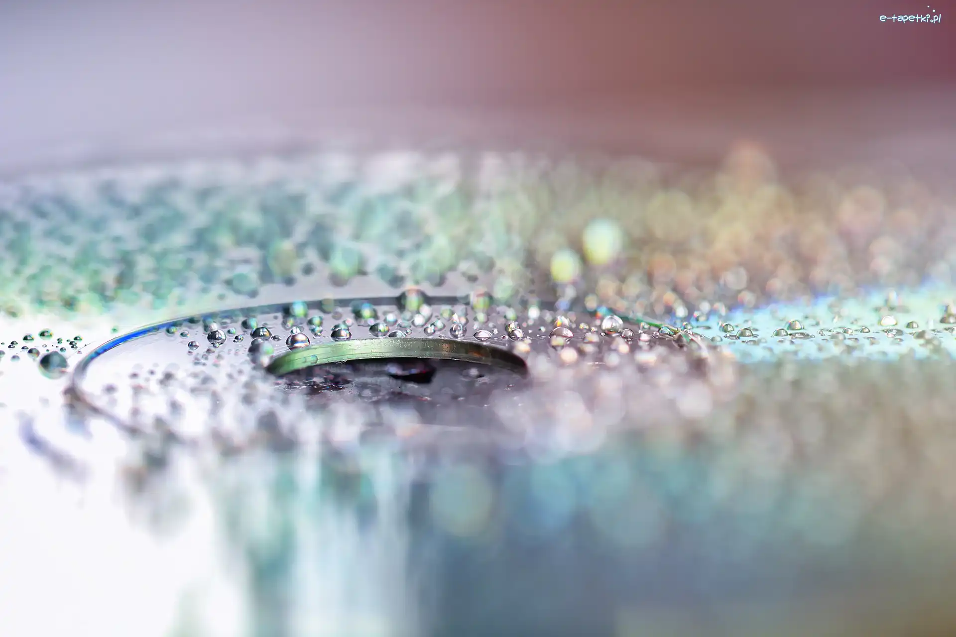 Krople, Makro, Bokeh, Płyta kompaktowa