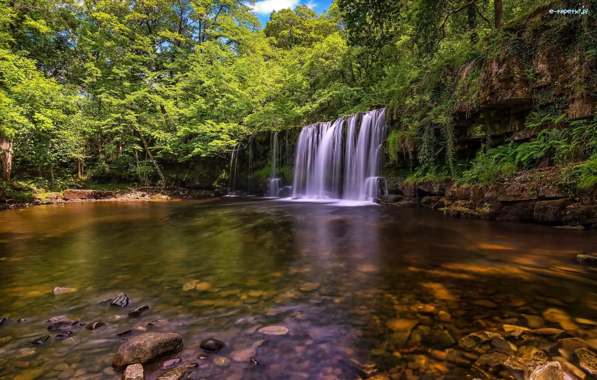 Skały, Wodospad Sgwd Yr Eira, Rzeka Afon Hepste, Drzewa, Park Narodowy Brecon Beacons, Walia