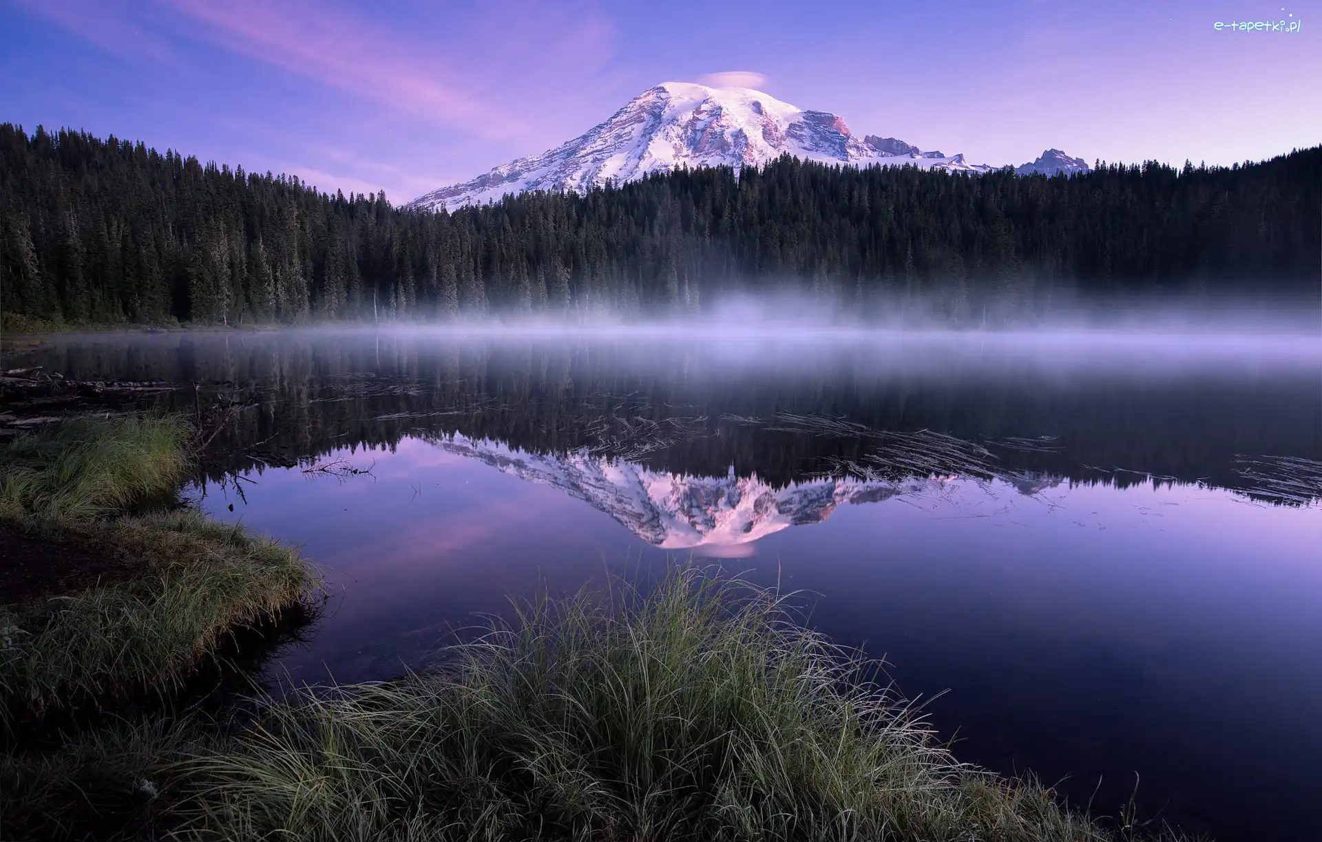 Trawa, Stan Waszyngton, Odbicie, Jezioro Bench Lake, Góry, Stratowulkan Mount Rainier, Las, Stany Zjednoczone, Park Narodowy Mount Rainier, Mgła