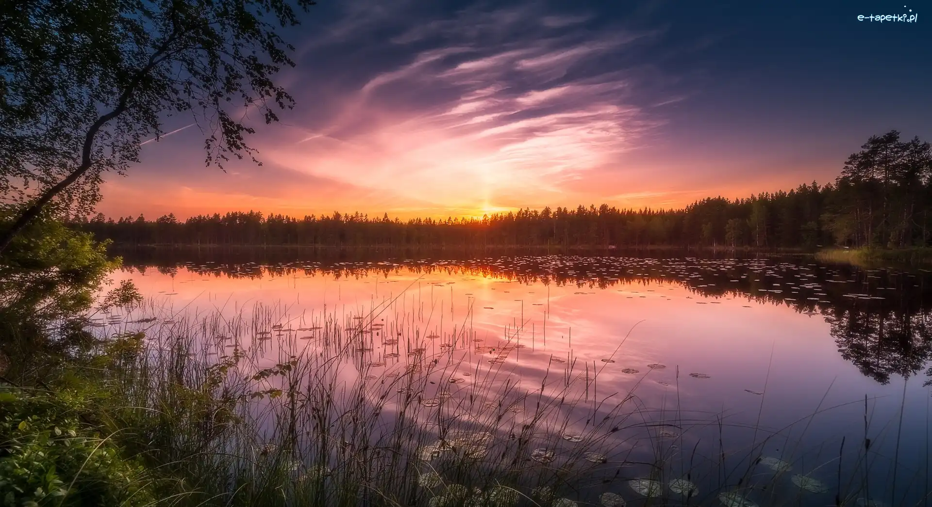 Zachód słońca, Park Narodowy Helvetinjärvi, Jezioro Siikajärvi, Drzewa, Gmina Ruovesi, Finlandia