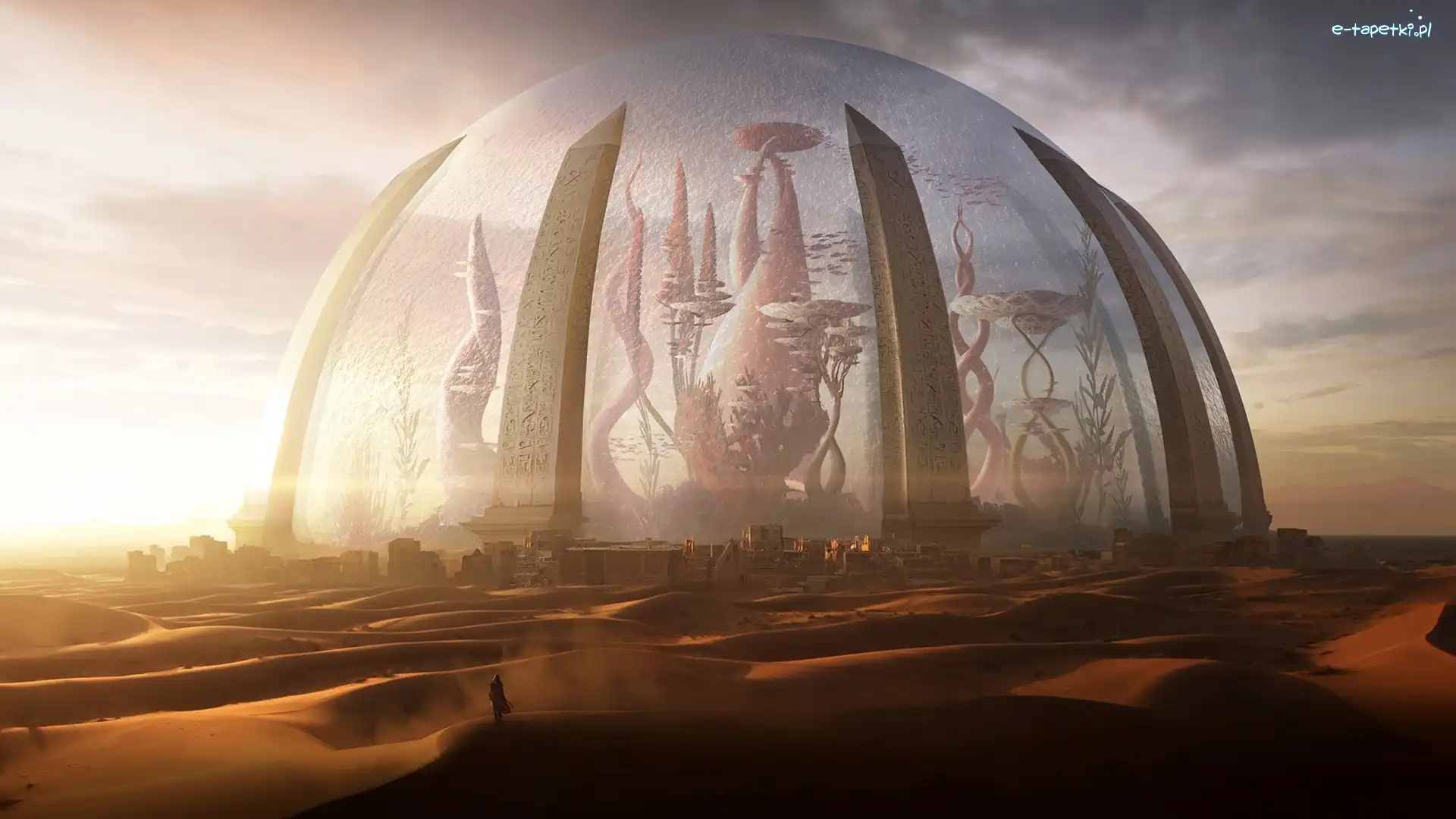 Oaza M-ra Jolios, Torment: Tides of Numenera, Gra