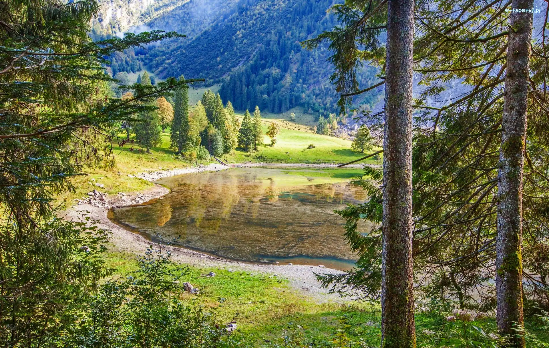 Las, Drzewa, Góry, Jezioro
