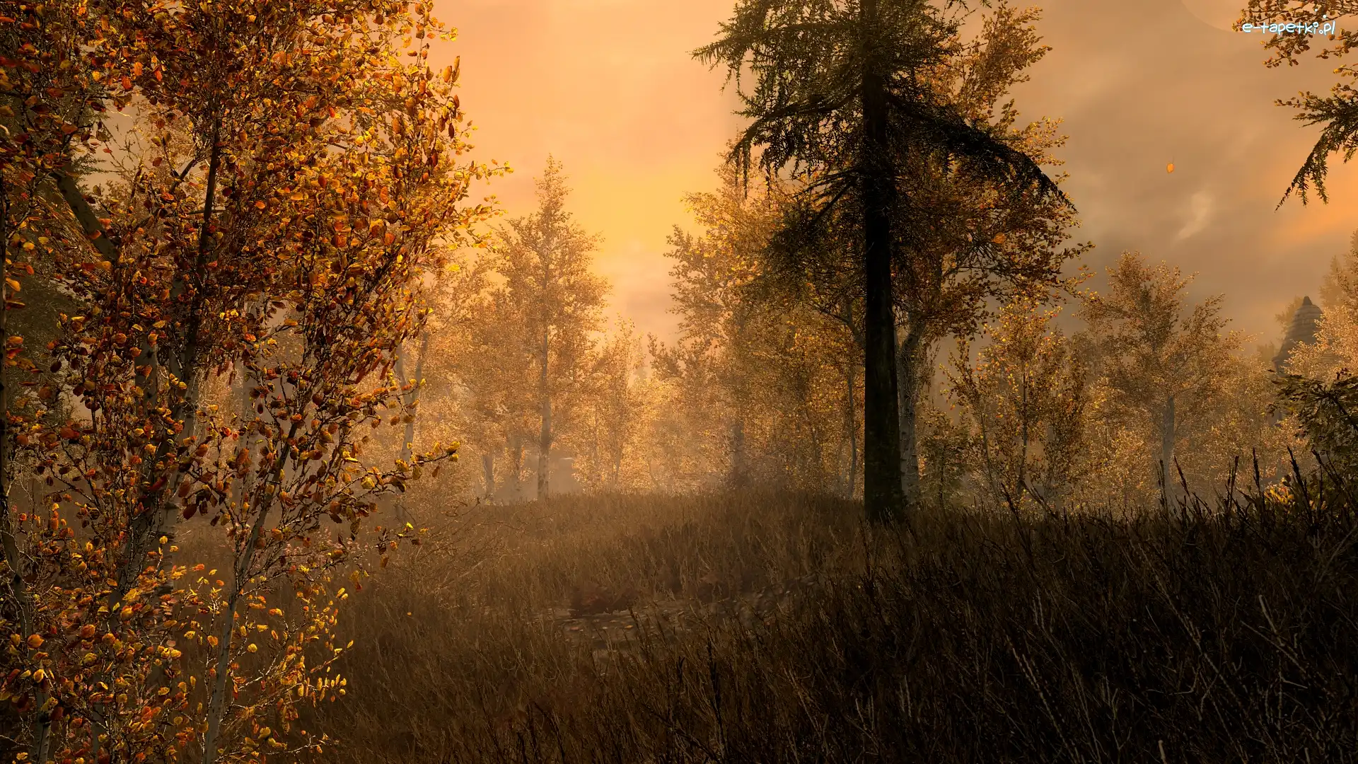 Gra, Jesień, The Elder Scrolls V: Skyrim, Drzewa, Las