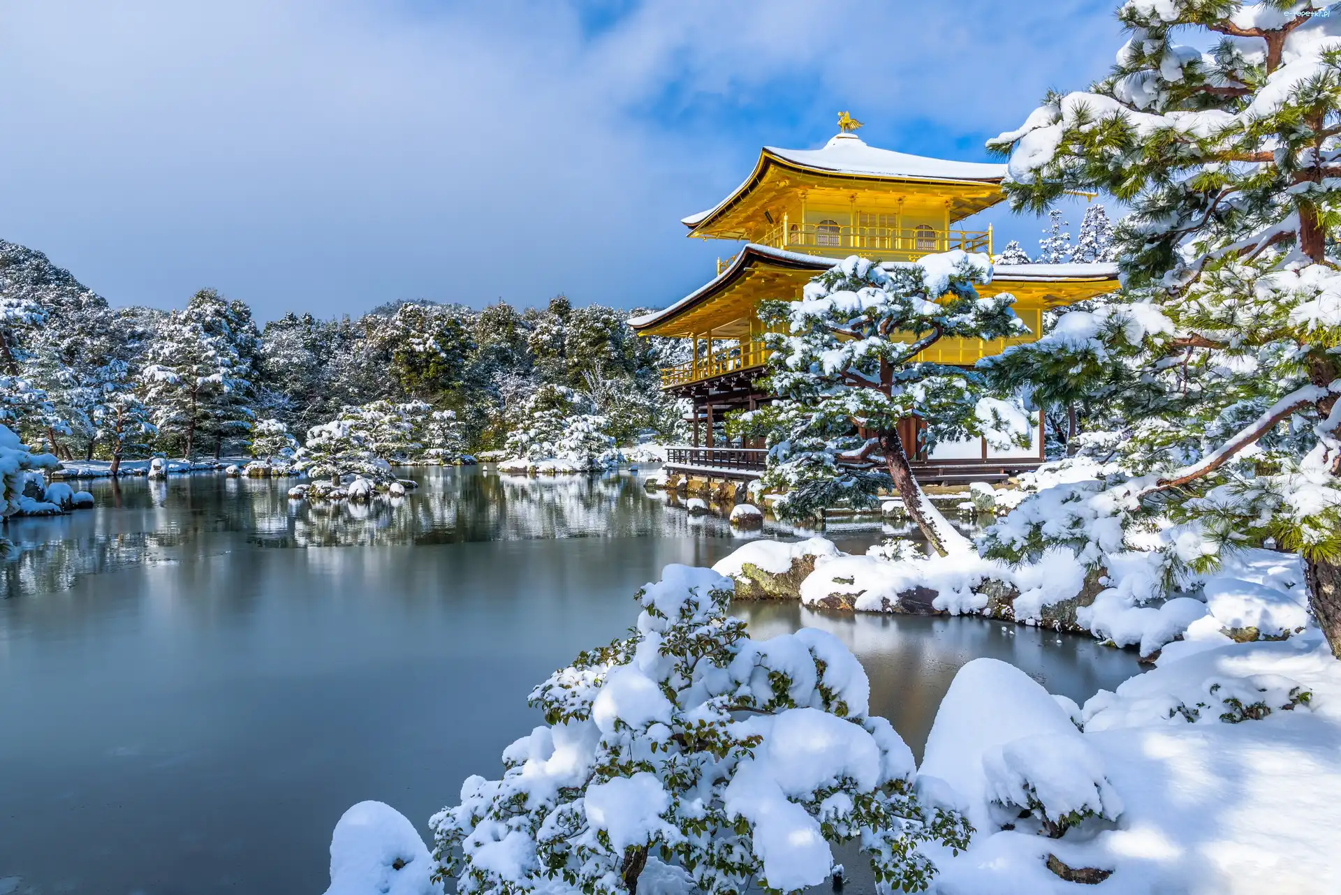 Staw Kyōko-chi, Kioto, Śnieg, Drzewa, Ogród Kyōko-chi Pond, Złoty Pawilon, Świątynia buddyjska, Japonia