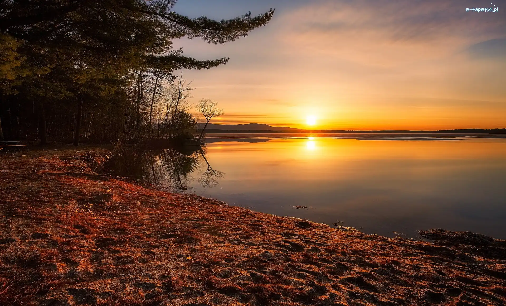 Wschód słońca, Jezioro Lake Winnipesaukee, Plaża Leavitt Beach, Drzewa, Stan New Hampshire, Stany Zjednoczone
