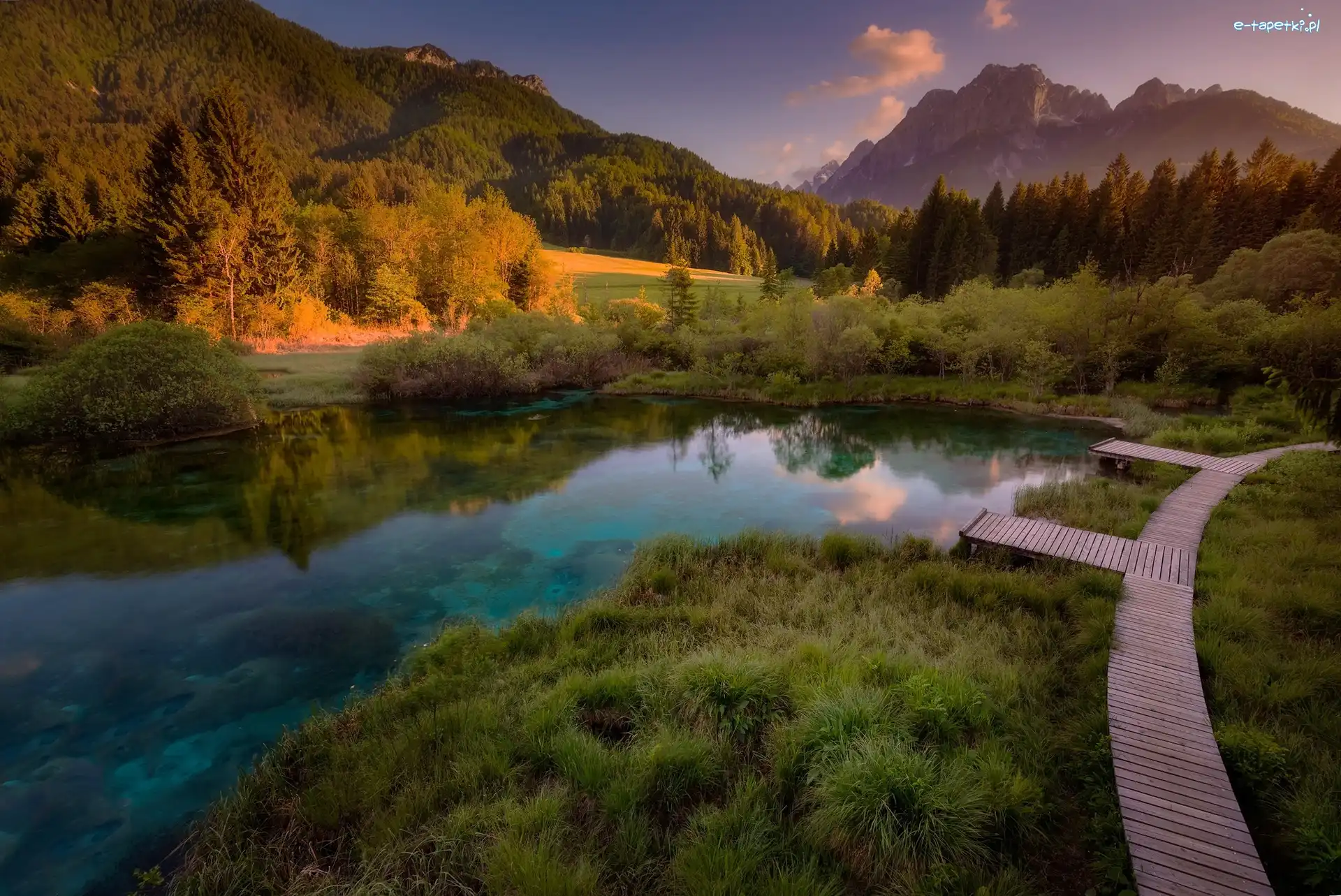 Drewniany, Jezioro Zelenci, Góry, Rezerwat przyrody Zelenci Springs, Słowenia, Pomost, Lasy