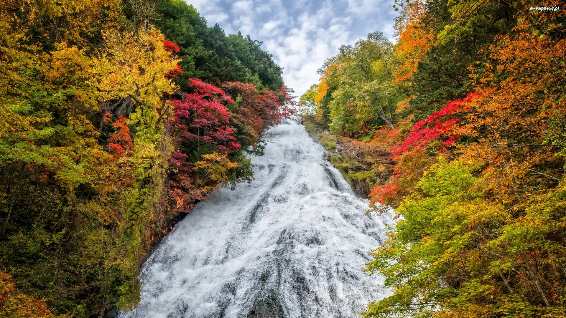 Jesień, Park Narodowy Nikko, Wodospad Yudaki, Drzewa, Prefektura Tochigi, Japonia