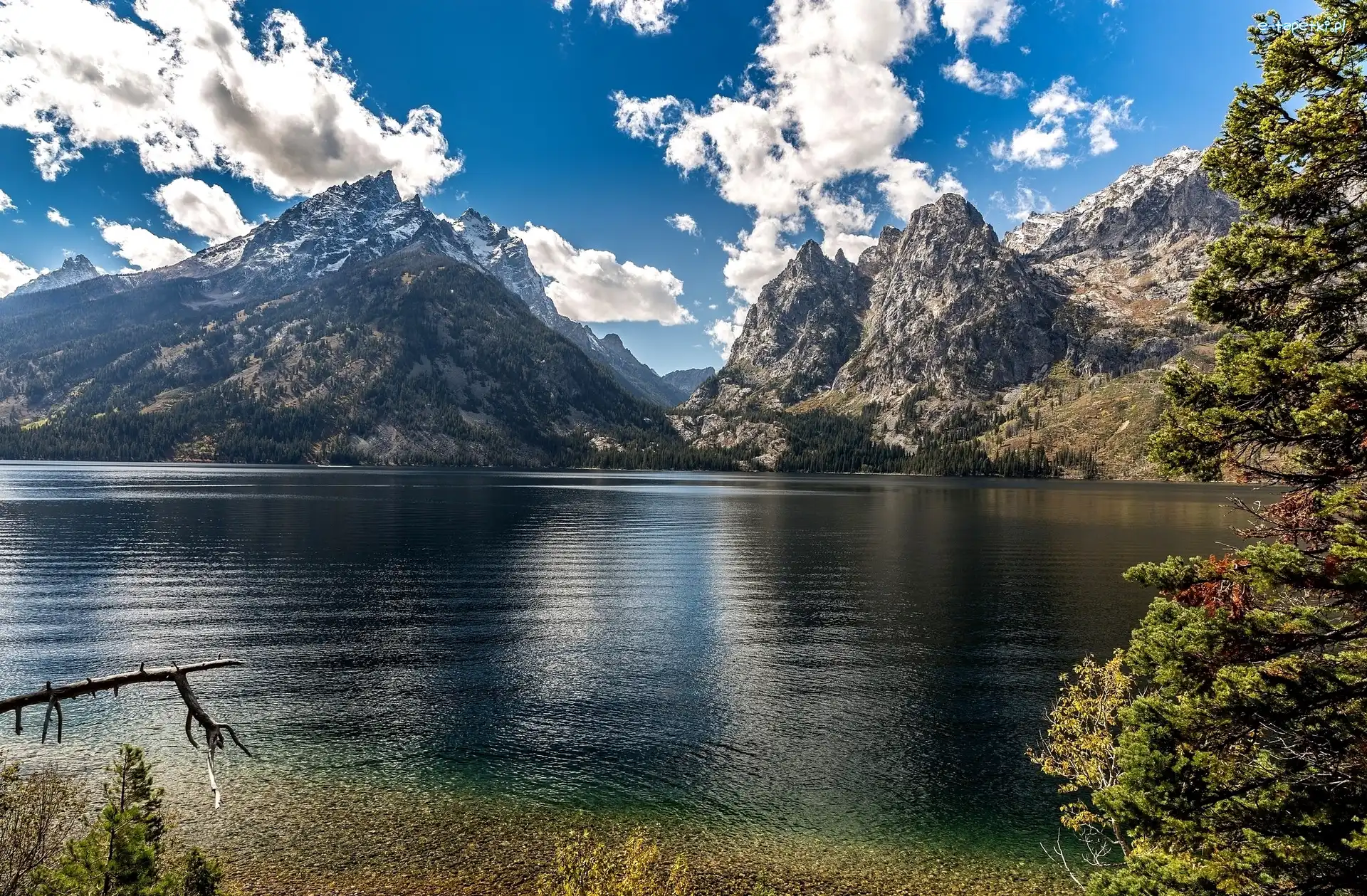 Góry, Park Narodowy Grand Teton, Jezioro Jenny Lake, Drzewa, Stan Wyoming, Stany Zjednoczone