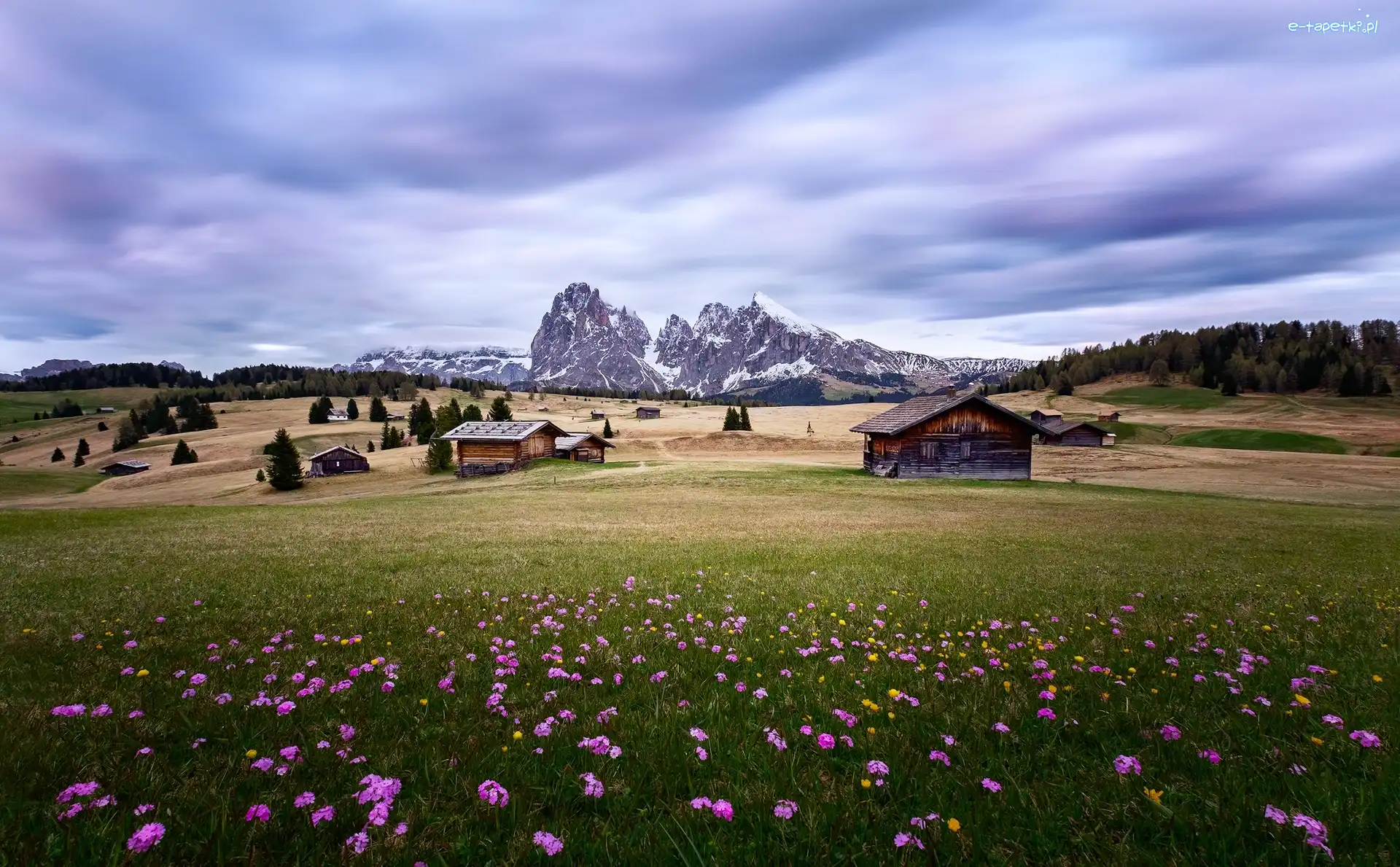 Domy, Góry, Dolomity, Dolina Val Gardena, Włochy, Kwiaty, Łąka