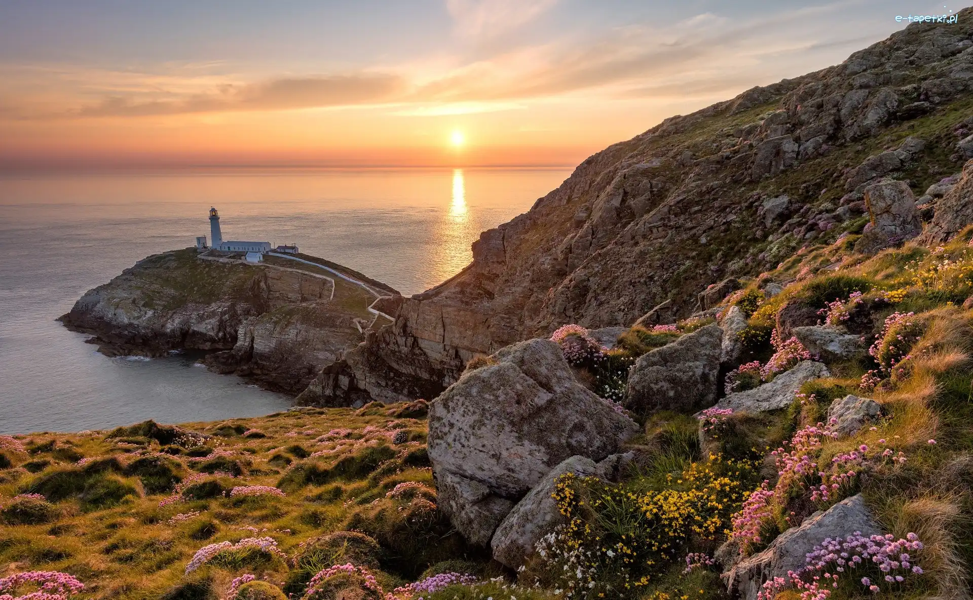 Kwiaty, Latarnia morska South Stack Lighthouse, Morze Irlandzkie, Wyspa South Stack, Walia, Wschód słońca, Skały