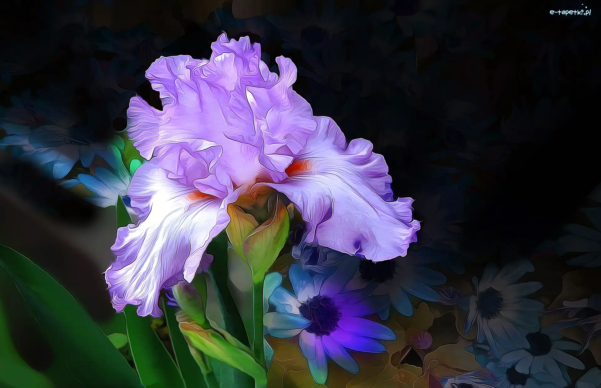 Irys, Ciemne tło, Fractalius, Kwiaty