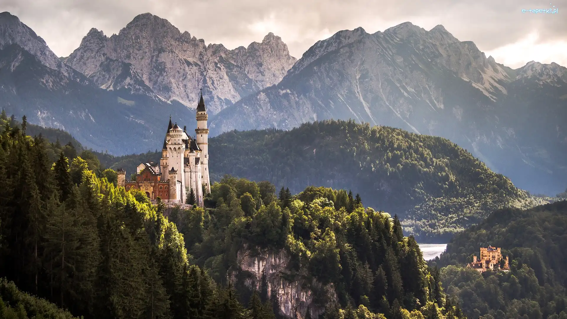 Lasy, Zamek Neuschwanstein, Góry Alpy, Drzewa, Bawaria, Niemcy