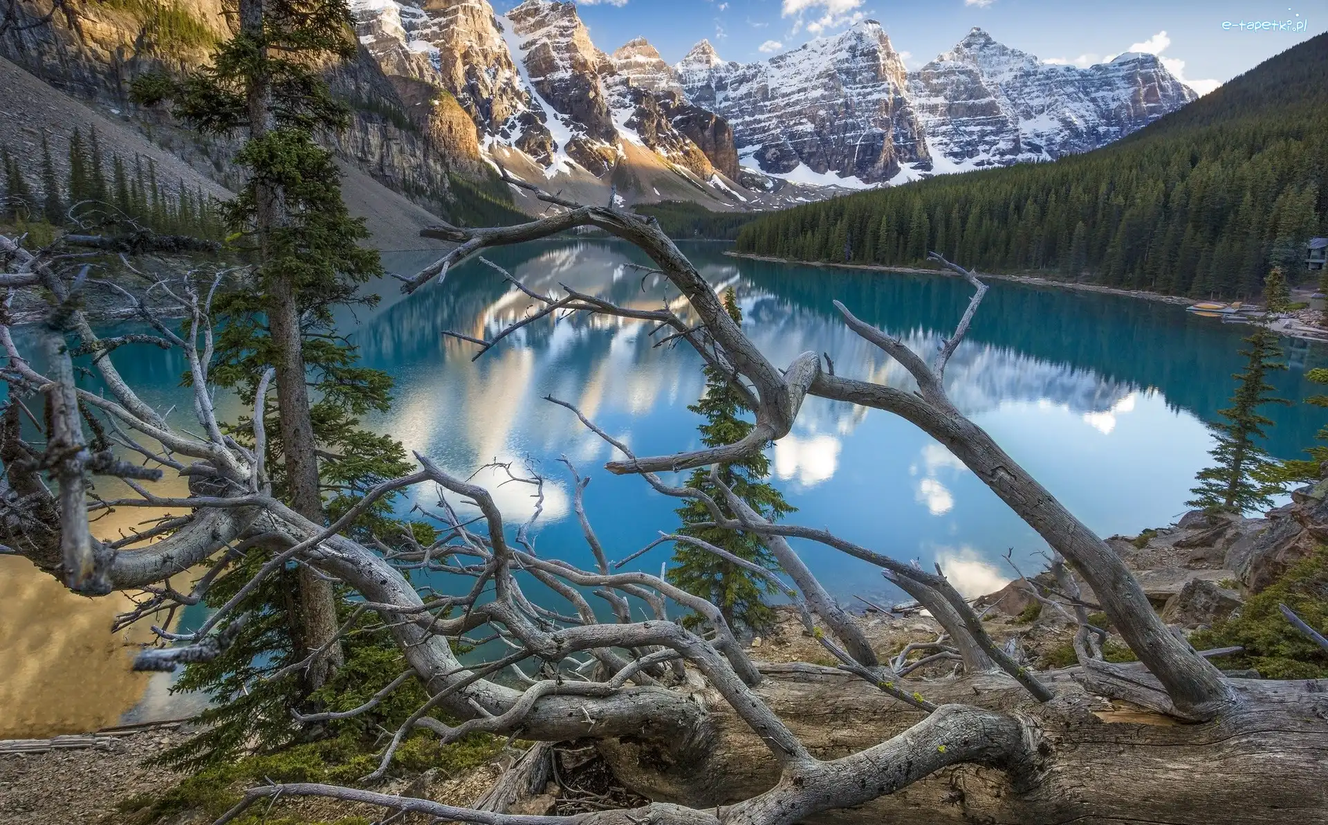 Jezioro Moraine, Prowincja Alberta, Drzewa, Powalone, Park Narodowy Banff, Góry, Jezioro, Kanada