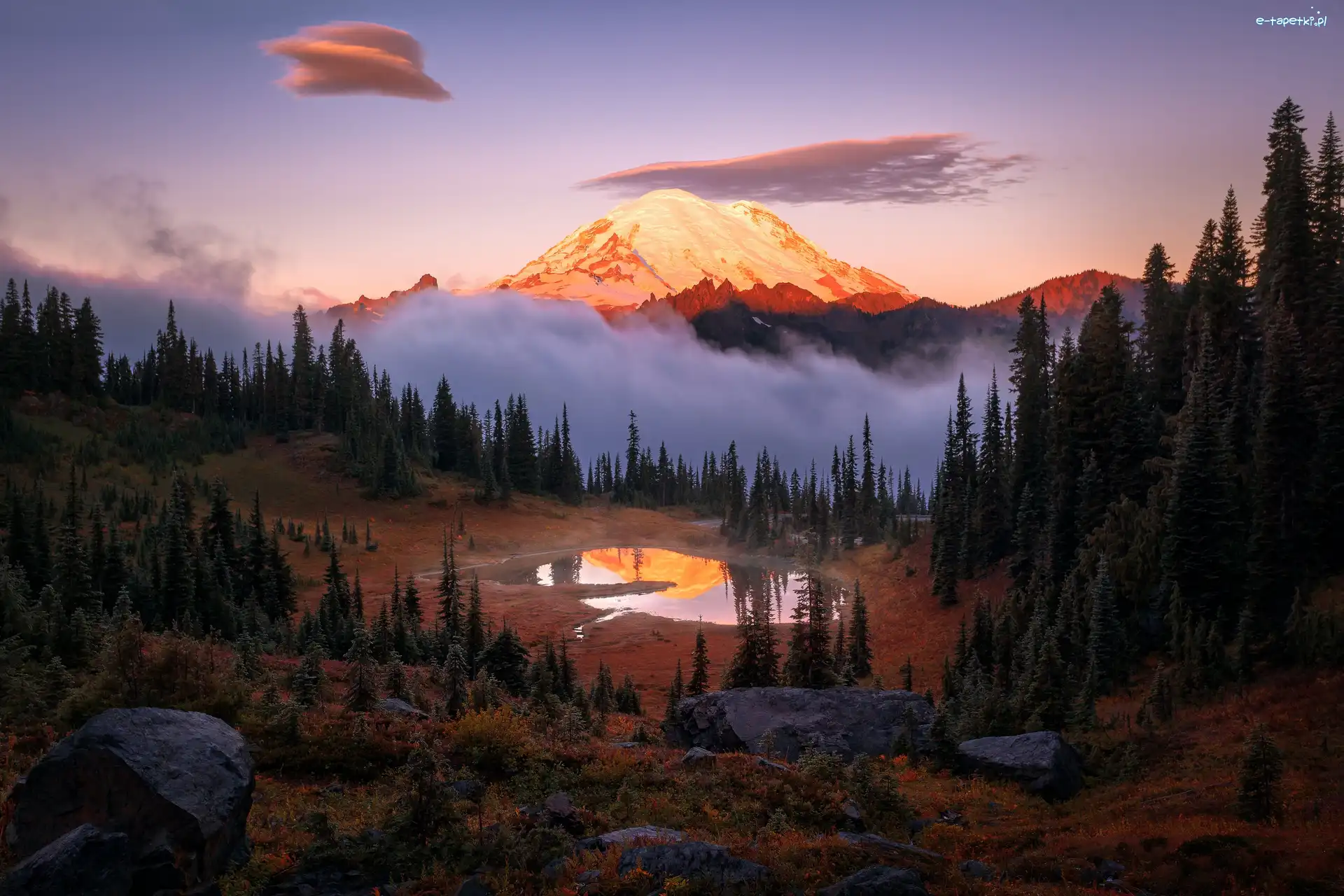 Góry, Stan Waszyngton, Mgła, Jezioro Tipsoo, Park Narodowy Mount Rainier, Stratowulkan Mount Rainier, Drzewa, Stany Zjednoczone