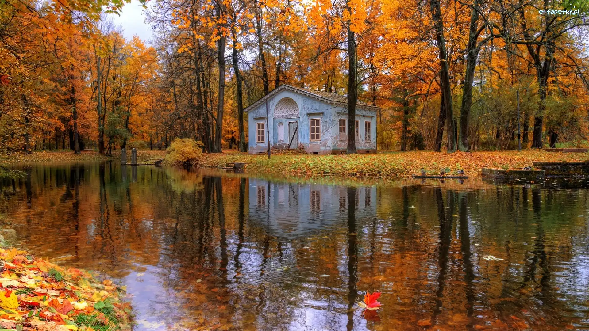 Domek, Carskie Sioło, Jesień, Petersburg, Rosja, Staw, Park