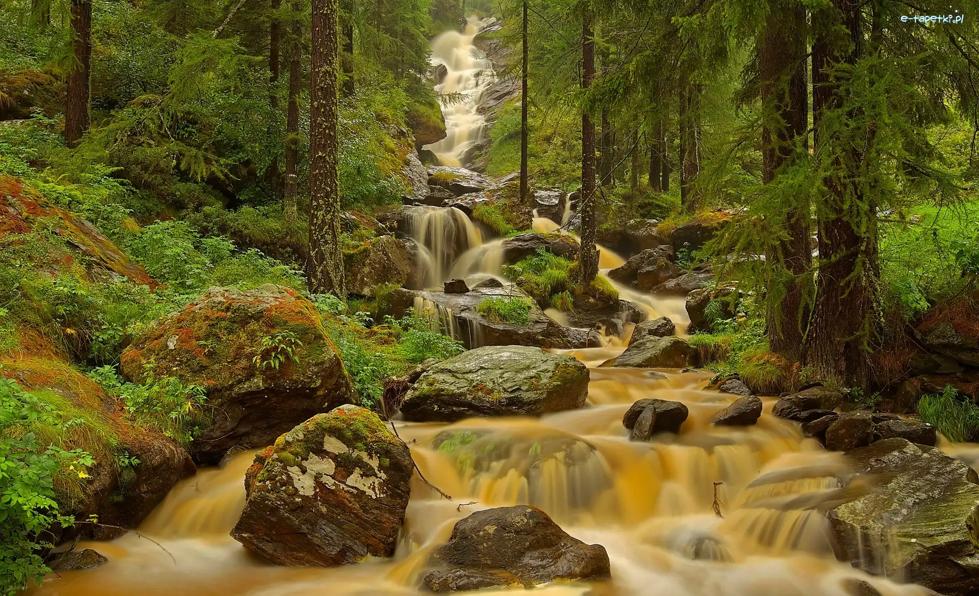 Kamienie, Rzeka, Kaskada, Las, Dolina Aosty, Włochy