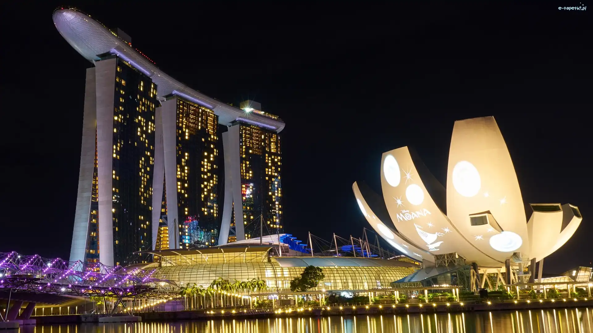 ArtScience Museum, Hotel Marina Bay Sands, Woda, Oświetlenie, Zatoka Marina Bay, Muzeum Sztuki i Nauki, Noc, Singapur