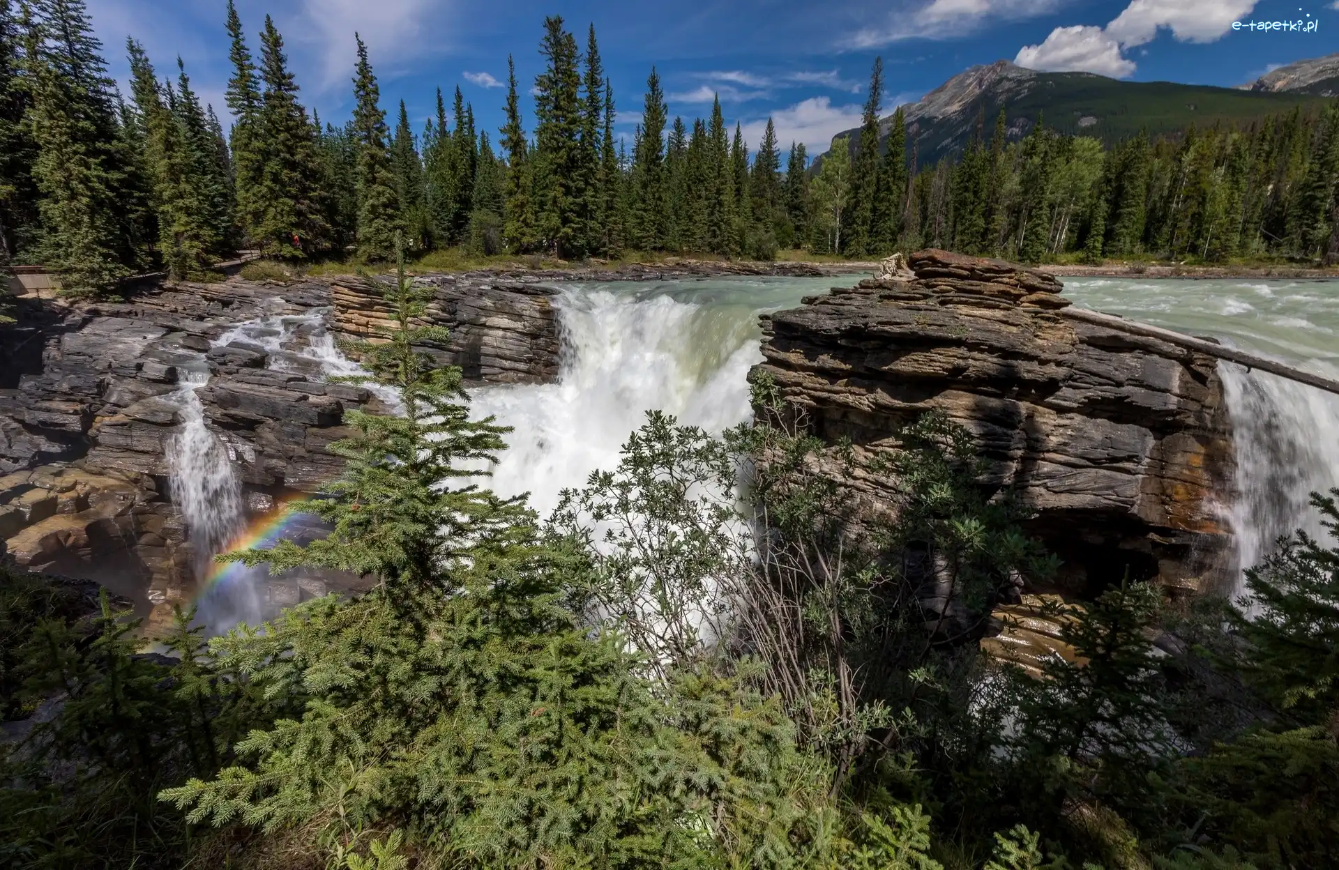 Wodospad Athabasca, Prowincja Alberta, Świerki, Tęcza, Park Narodowy Jasper, Rzeka Athabasca, Skały, Kanada