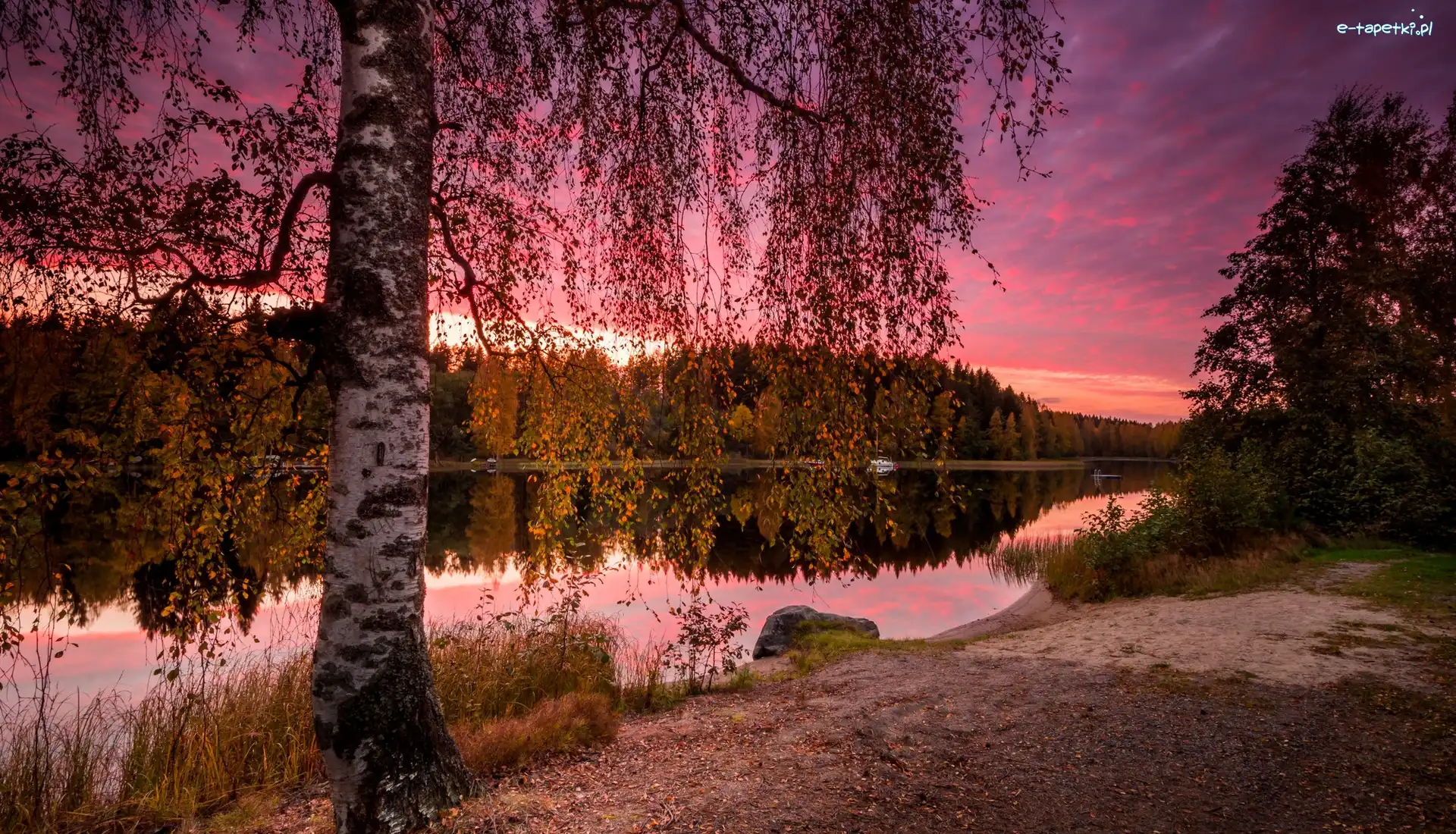 Jezioro Näsijärvi, Prowincja Finlandia Zachodnia, Chmury, Brzoza, Region Pirkanmaa, Jesień, Drzewa, Finlandia