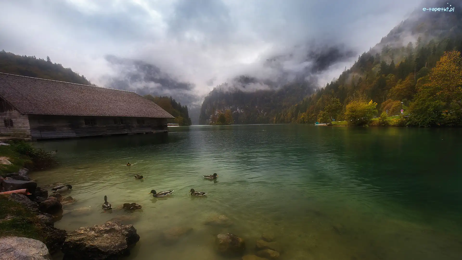 Alpy Berchtesgadeńskie, Bawaria, Kaczki, Dom, Jezioro Königssee, Góry, Mgła, Niemcy