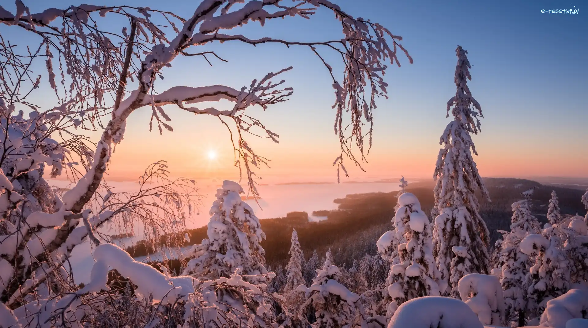 Jezioro Pielinen, Region Karelia Północna, Mgła, Promienie słońca, Park Narodowy Koli, Zima, Drzewa, Finlandia