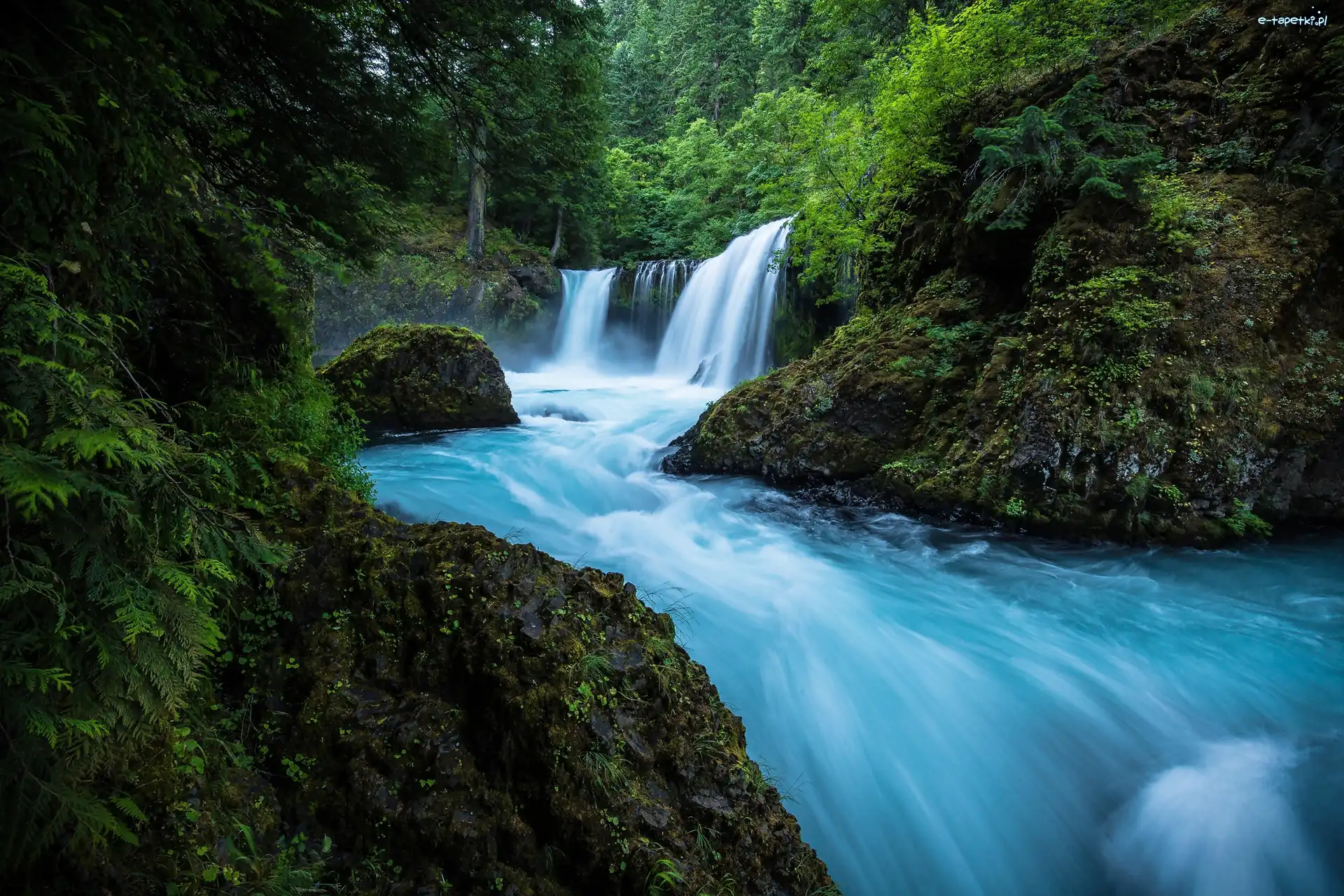 Wodospad Spirit Falls, Hrabstwo Skamania, Rezerwat przyrody Columbia River Gorge, Stan Waszyngton, Stany Zjednoczone, Rzeka Little White Salmon River, Las