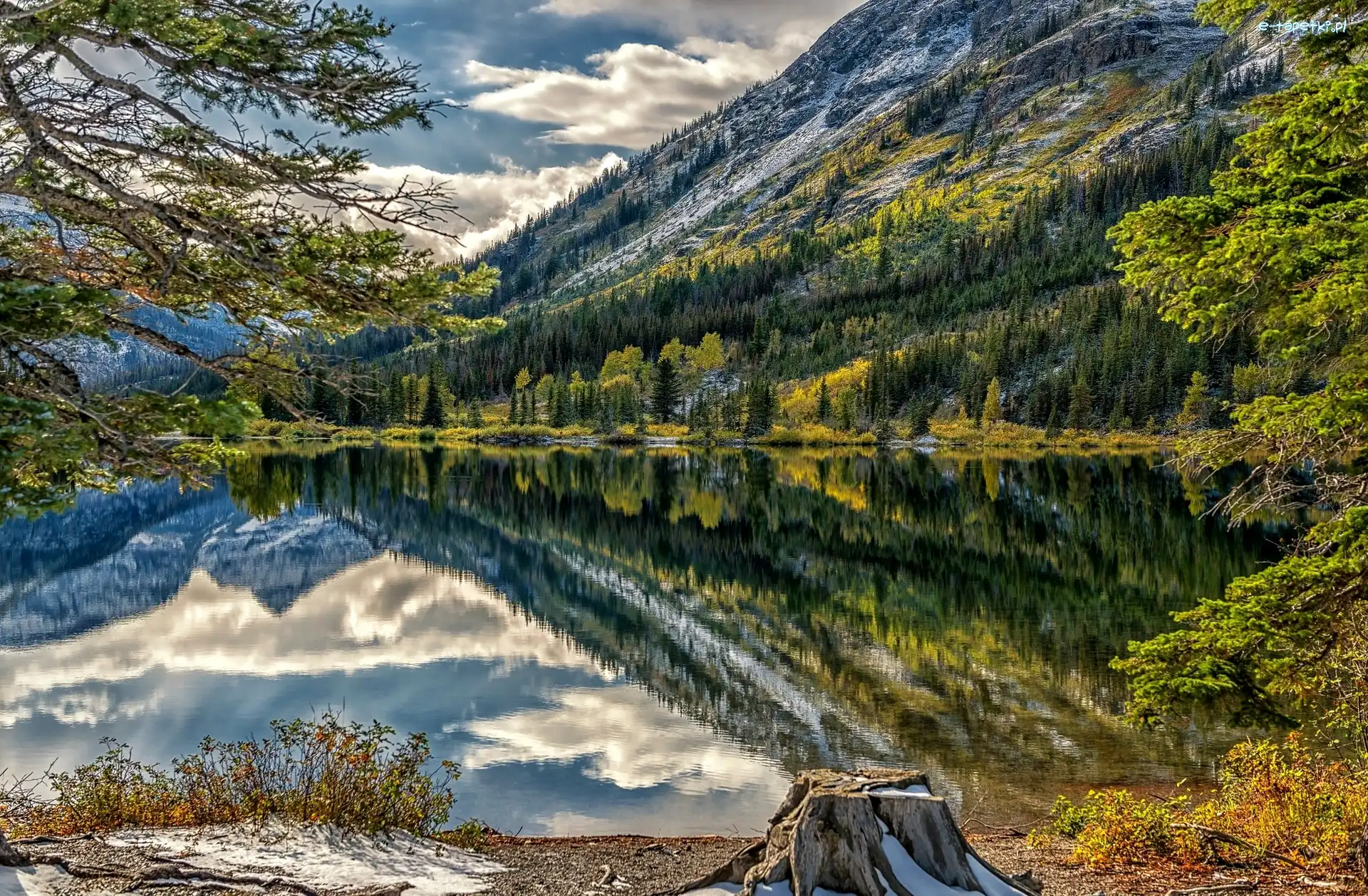 Odbicie, Park Narodowy Glacier, Góry, Stan Montana, Stany Zjednoczone, Świerki, Jezioro Pray Lake