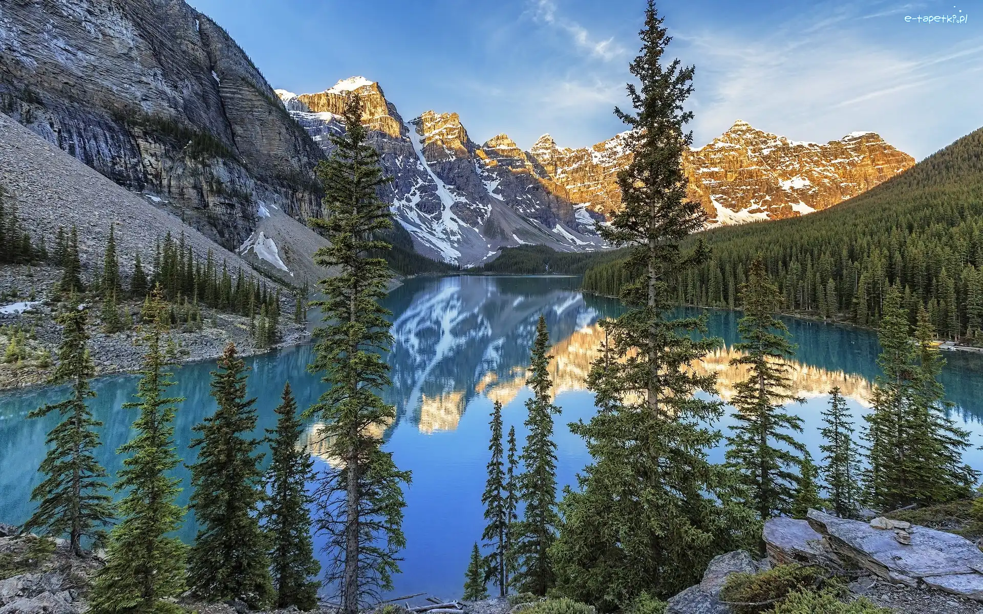Drzewa, Park Narodowy Banff, Jezioro Moraine, Świerki, Prowincja Alberta, Kanada