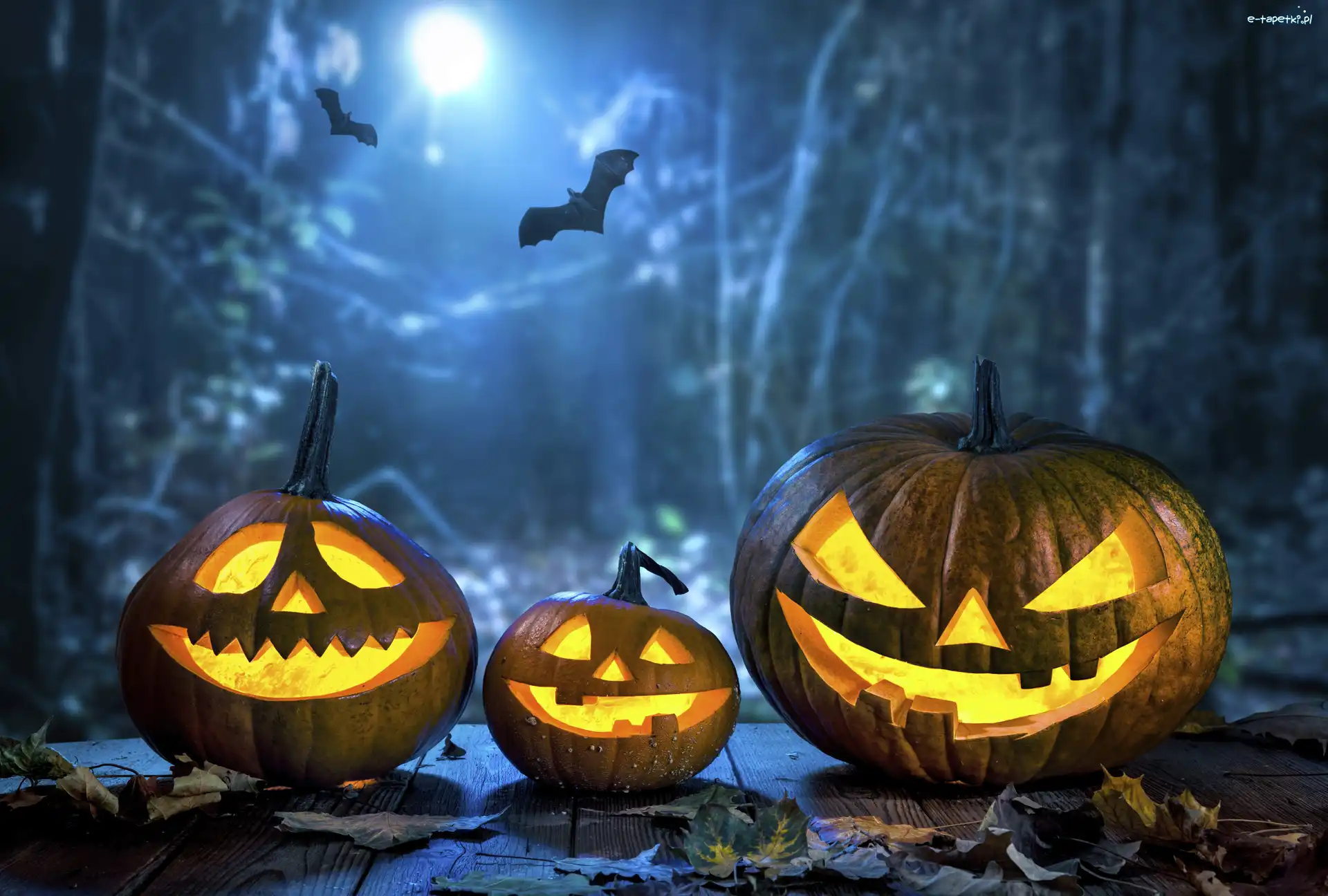Świecące, Nietoperze, Dynie, Halloween