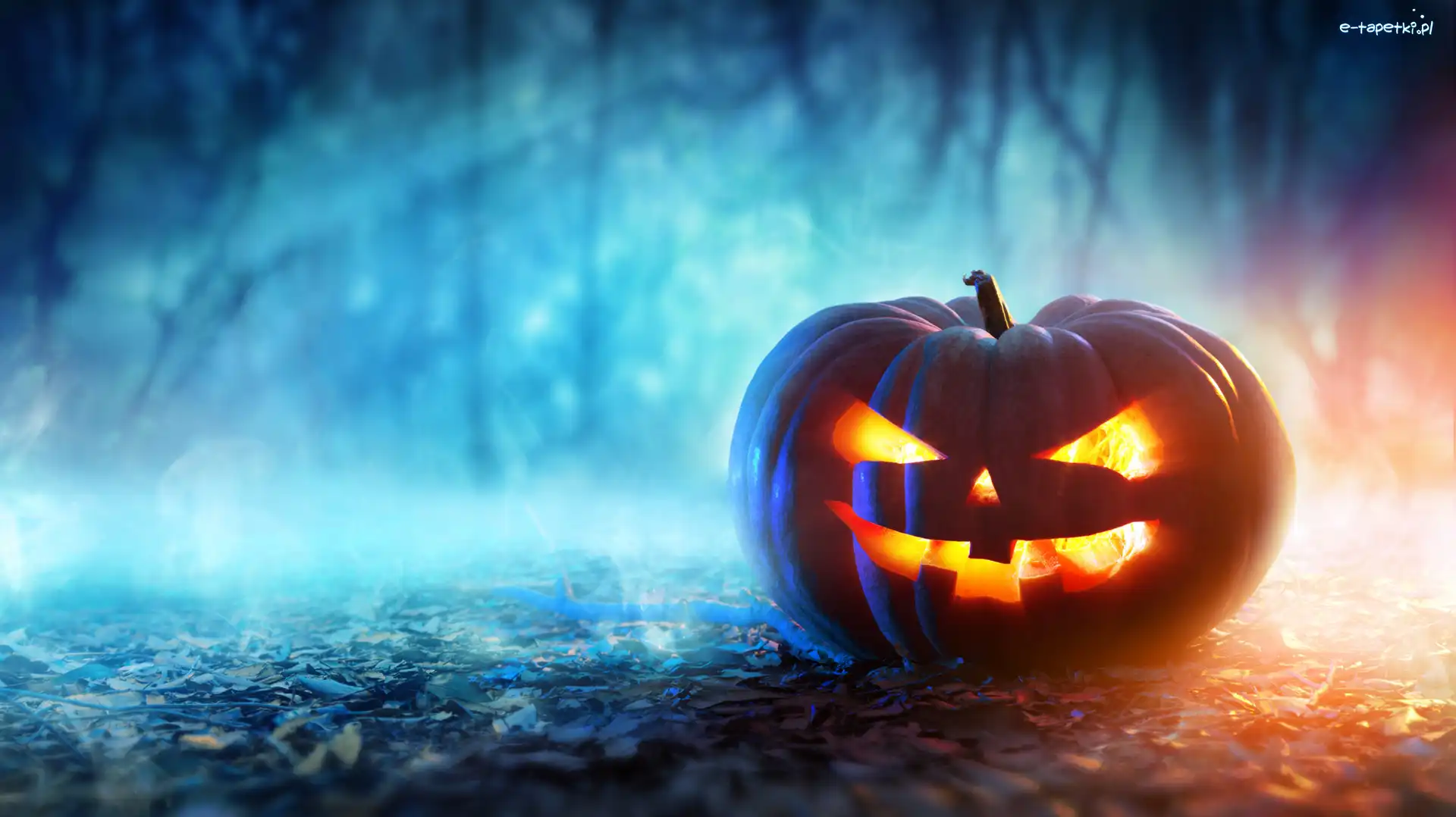 Światło, Dynia, Halloween