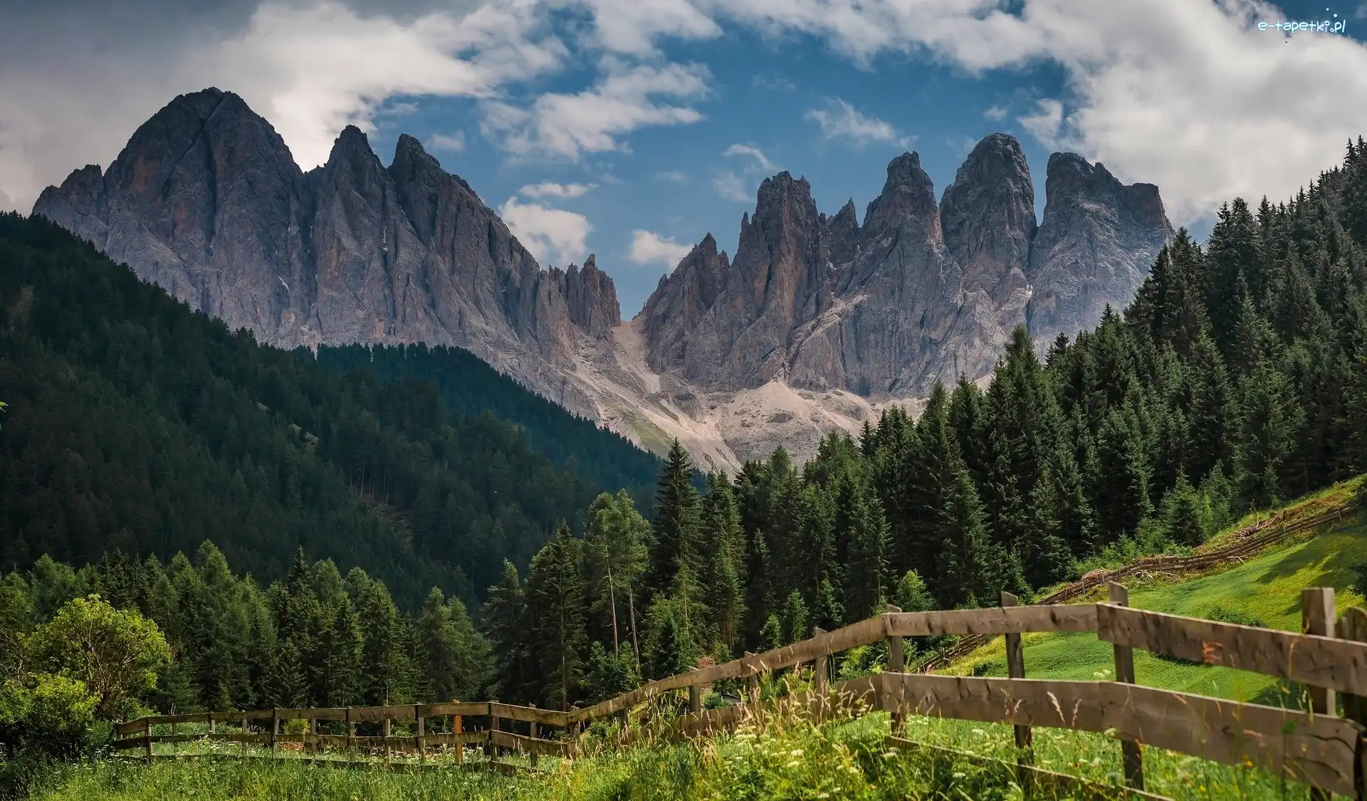 Łąka, Góry, Dolomity, Południowy Tyrol, Włochy, Ogrodzenie, Drzewa, Masyw Odle, Las