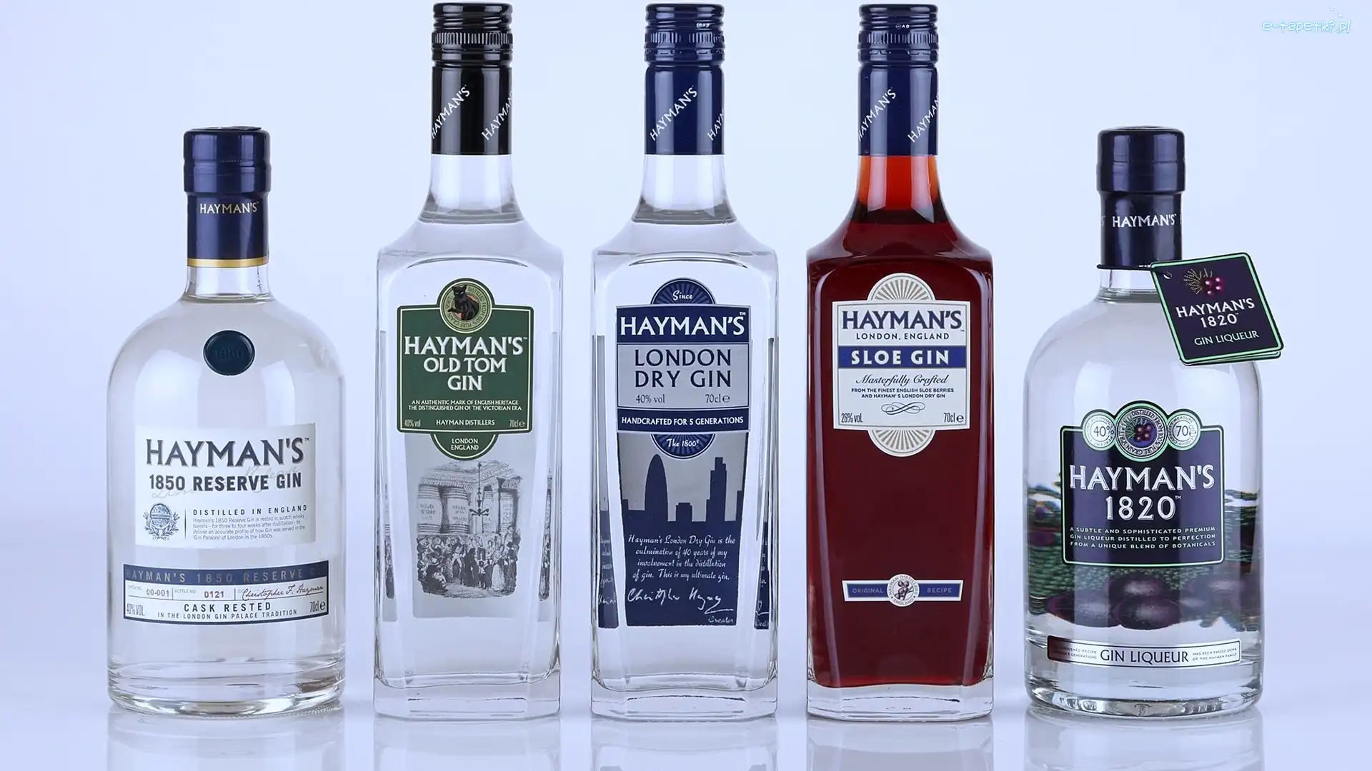 Gin, Butelki