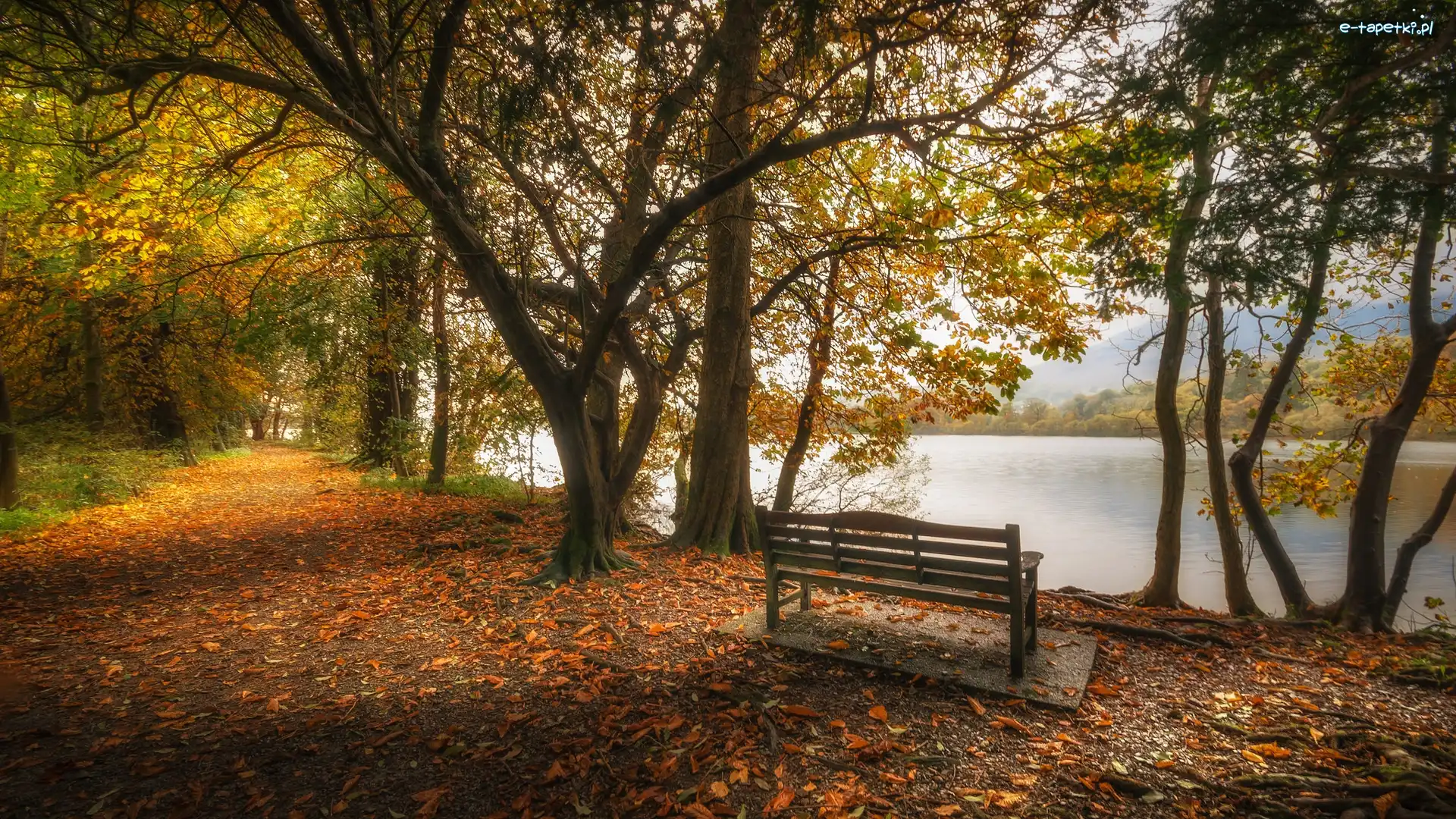 Ławka, Anglia, Jesień, Drzewa, Lake District, Park, Ścieżka, Wielka Brytania, Kumbria, Jezioro Coniston Water