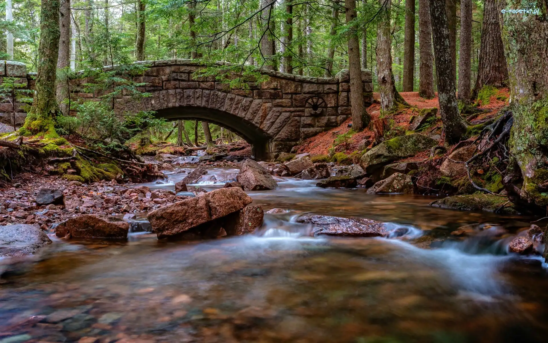 Most Hadlock Brook Bridge, Park Narodowy Acadia, Las, Stan Maine, Stany Zjednoczone, Kamienny, Rzeka