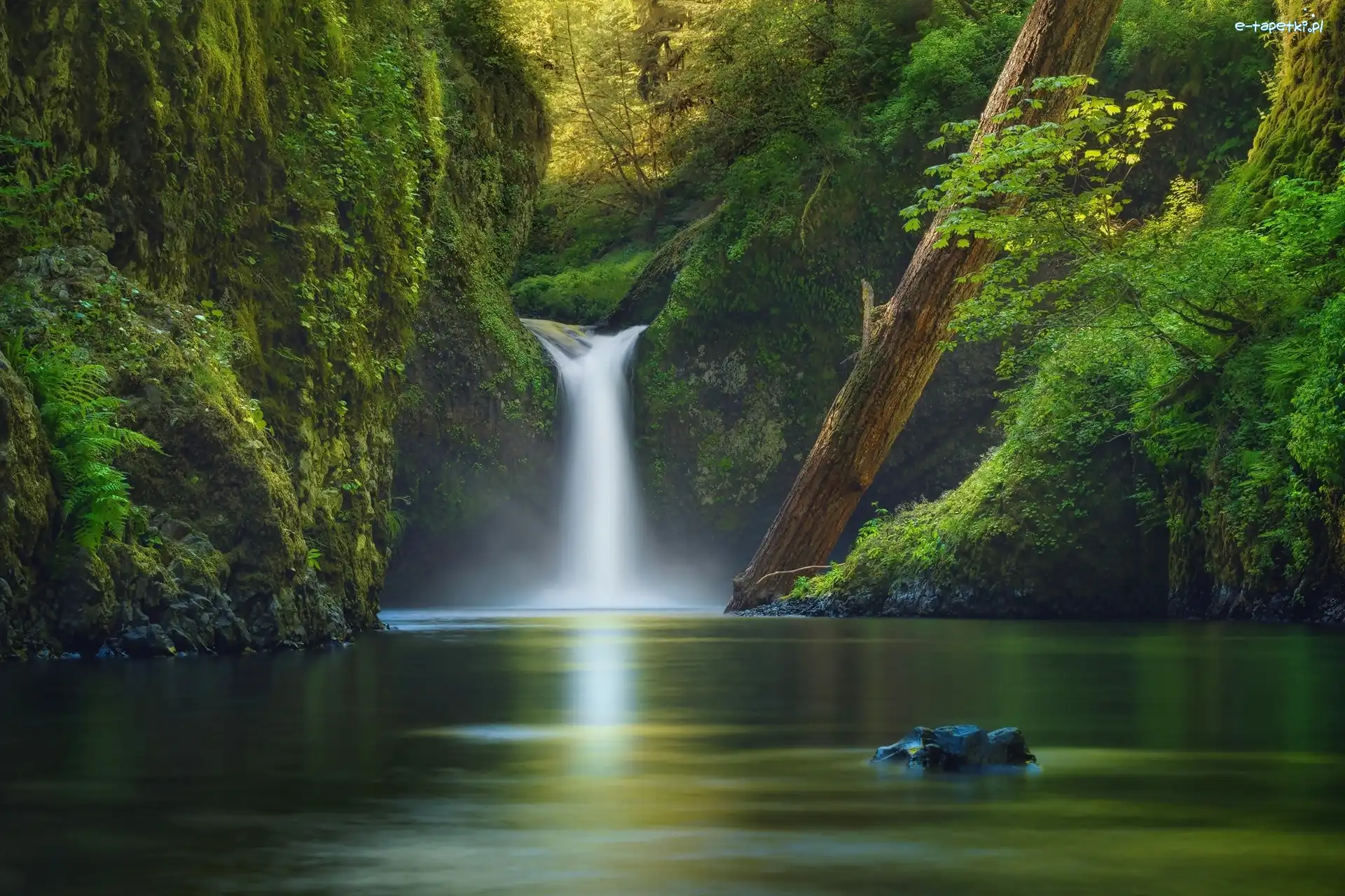 Rzeka, Rezerwat przyrody Columbia River Gorge, Wodospad Punch Bowl Falls, Stan Oregon, Stany Zjednoczone, Potok Eagle Creek, Las