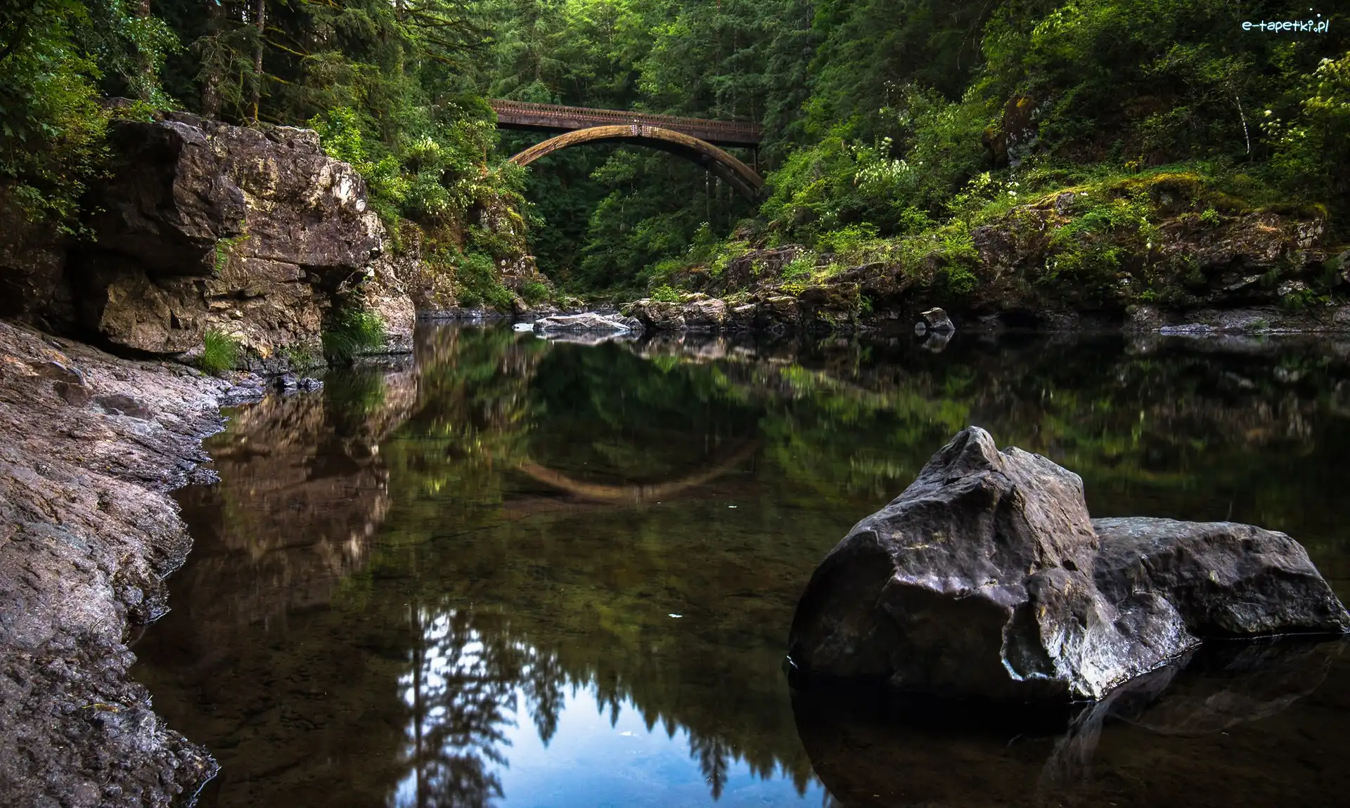 Rzeka Lewis, Stan Waszyngton, Las, Kamienie, Moulton Falls Regional Park, Most Moulton Falls Bridge, Rzeka, Stany Zjednoczone