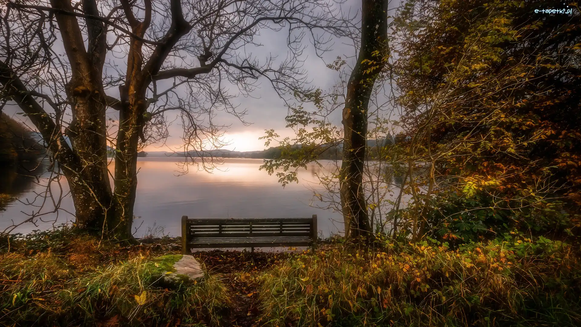Kraina Lake District, Anglia, Drzewa, Ławka, Kumbria, Jezioro Coniston Water, Jesień, Wielka Brytania