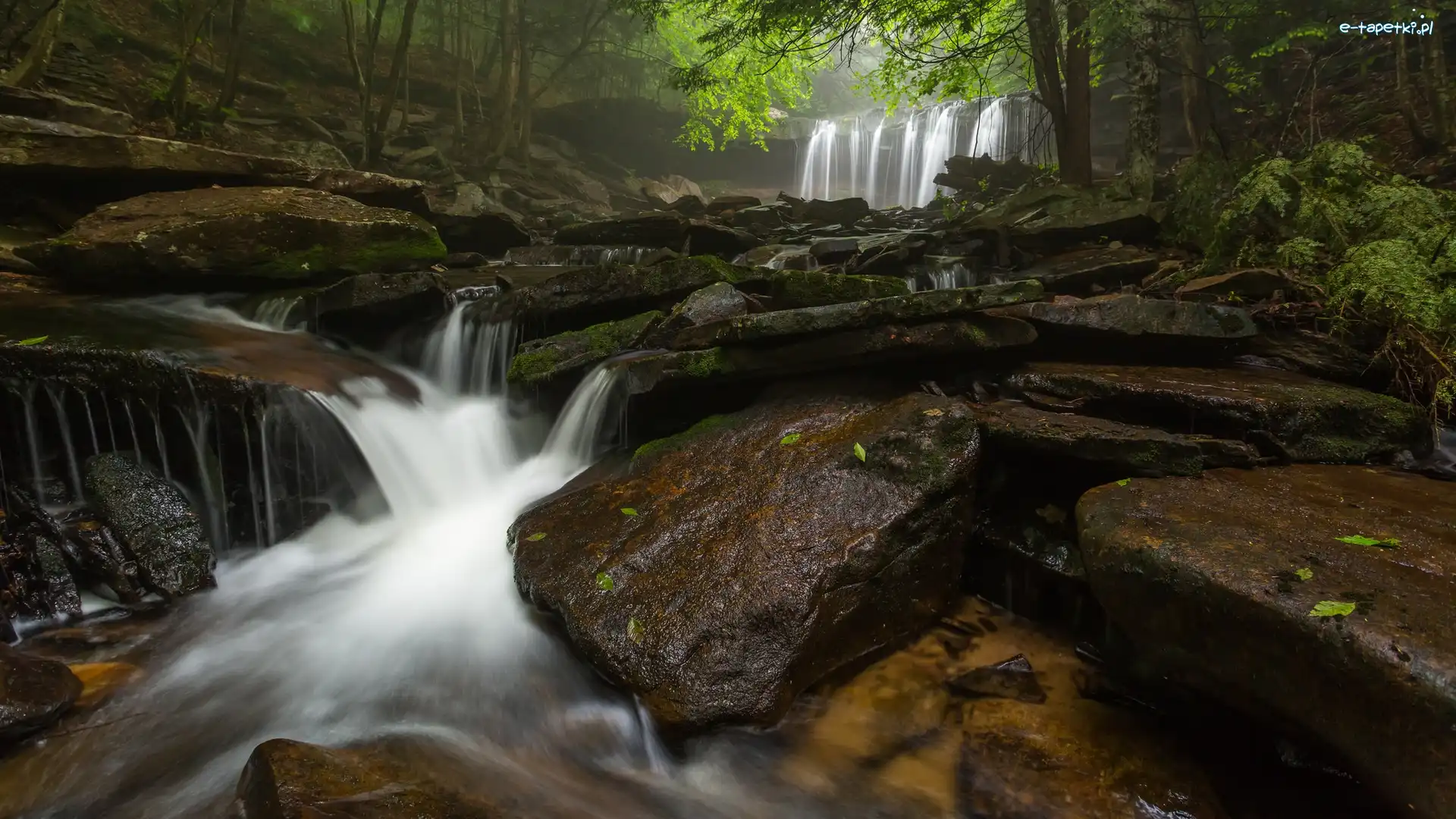 Potok Kitchen Creek, Stan Pensylwania, Kamienie, Rzeka, Park stanowy Ricketts Glen State Park, Wodospad Oneida Falls, Las, Stany Zjednoczone