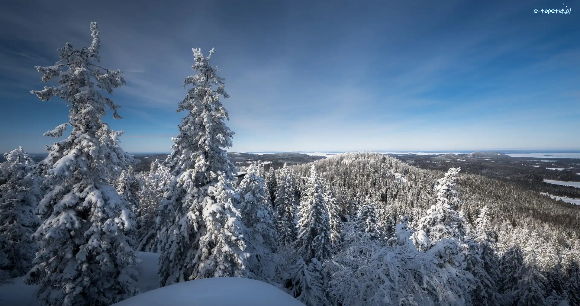 jezioro Pielinen, Karelia Północna, Wzgórza, Świerki, Park Narodowy Koli, Zima, Drzewa, Finlandia