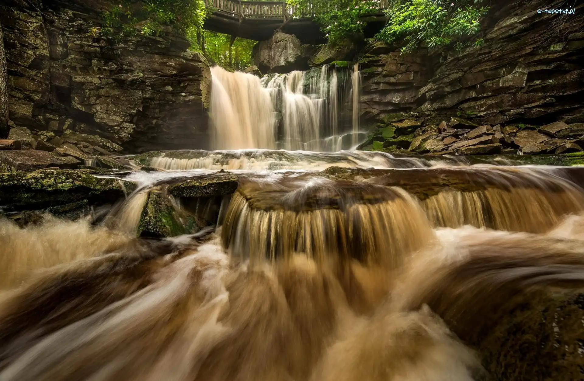Stany Zjednoczone, Park stanowy Blackwater Falls, Wirginia Zachodnia, Skały, Wodospad