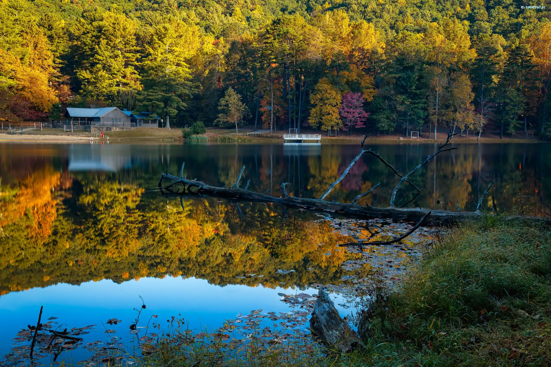 Stany Zjednoczone, Vogel State Park, Stan Georgia, Jesień, Jezioro Trahlyta