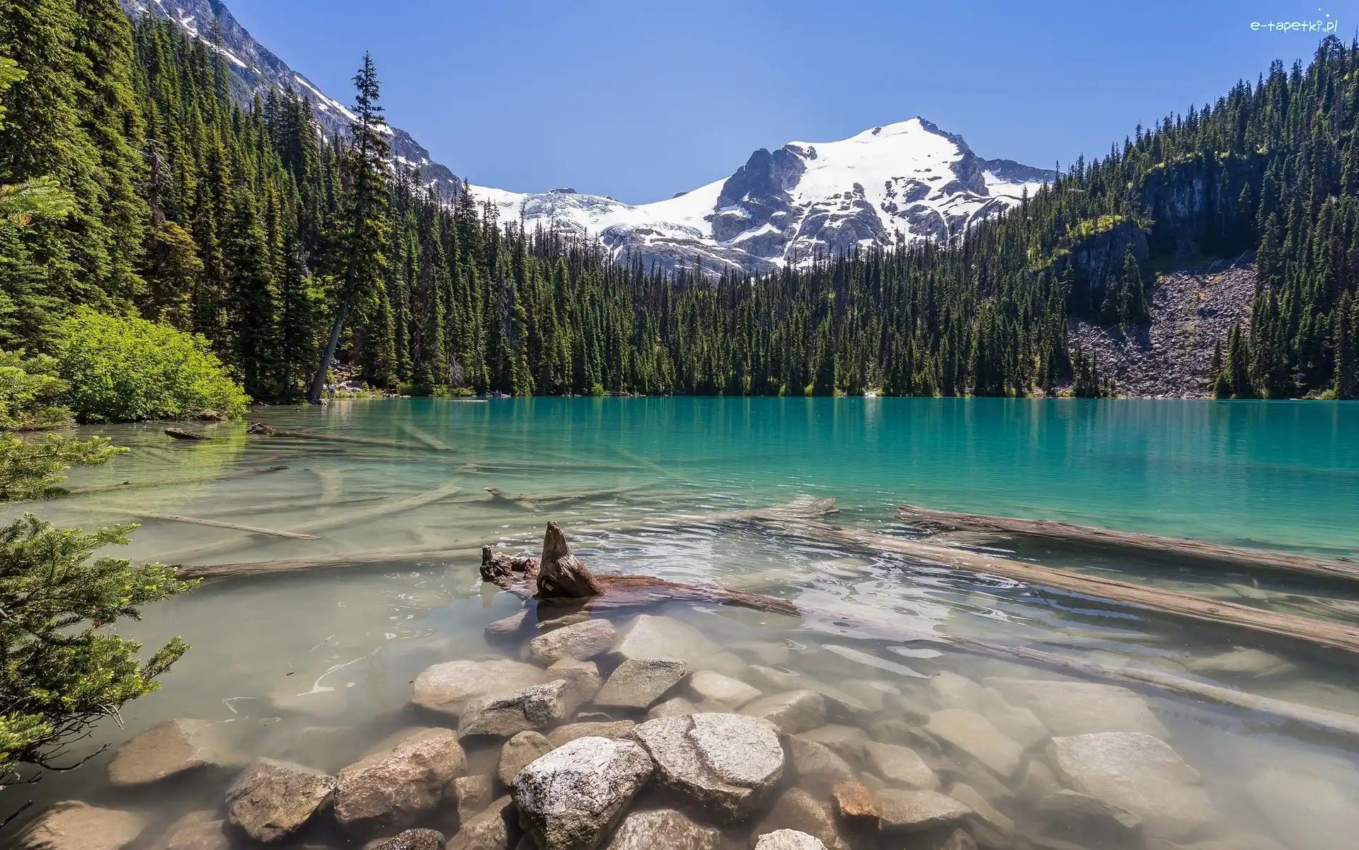 Jezioro Middle Joffre, Kolumbia Brytyjska, Góry, Las, Park Prowincjonalny Joffre Lakes, Brzeg, Kamienie, Kanada