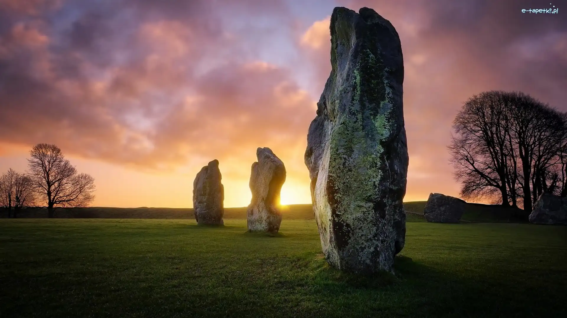Skały, Menhiry, Wieś Avebury, Hrabstwo Wiltshire, Anglia, Drzewa, Wschód słońca, Głazy neolityczne, Głazy