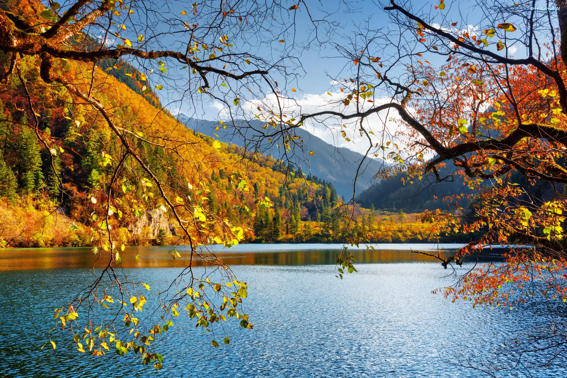 Drzewa, Jesień, Las, Park Narodowy Jiuzhaigou, Chiny, Jezioro Panda Lake, Góry