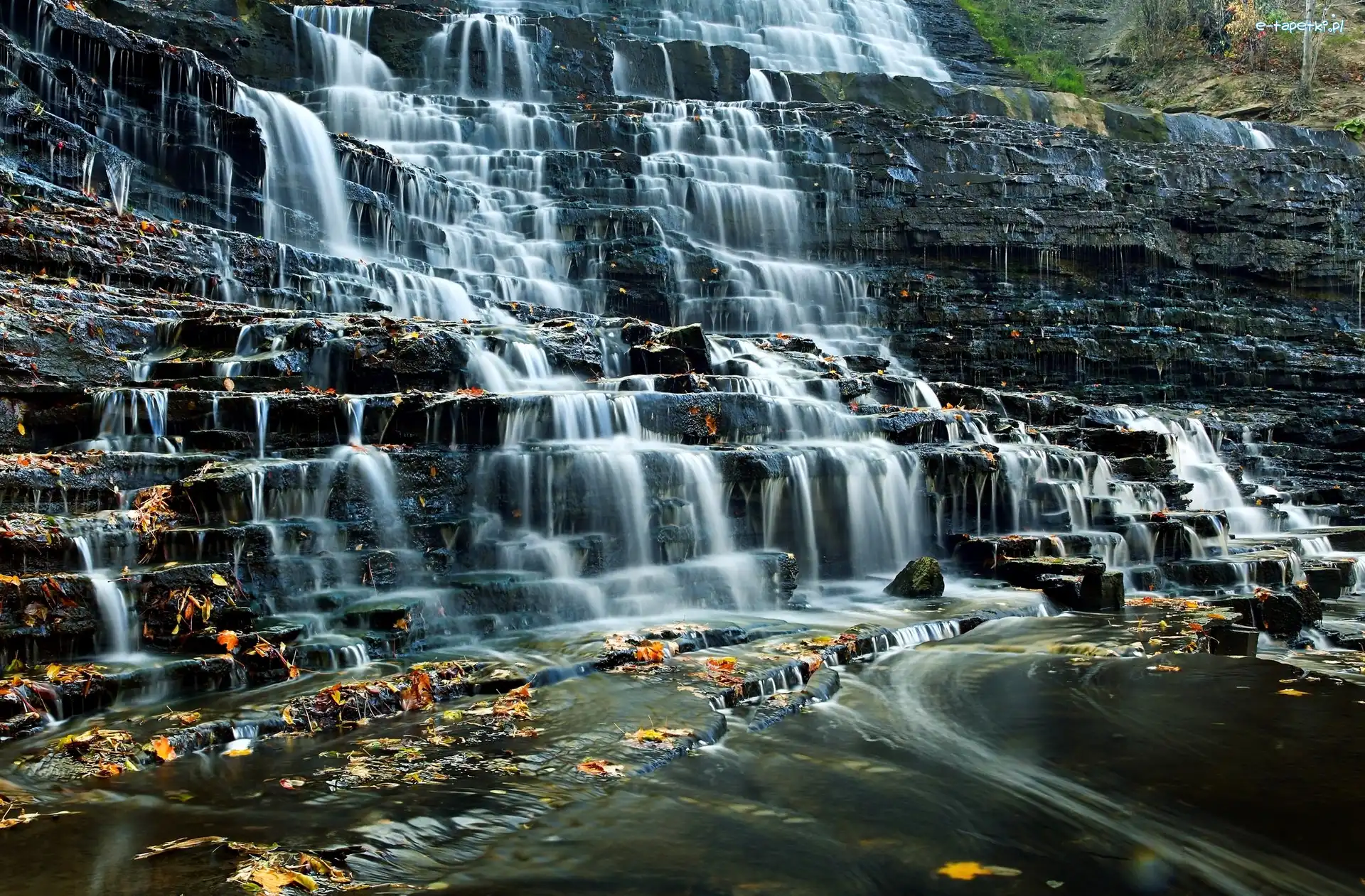 Liście, Hamilton, Wodospad Albion Falls, Prowincja Ontario, Kanada, Żółte, Skały