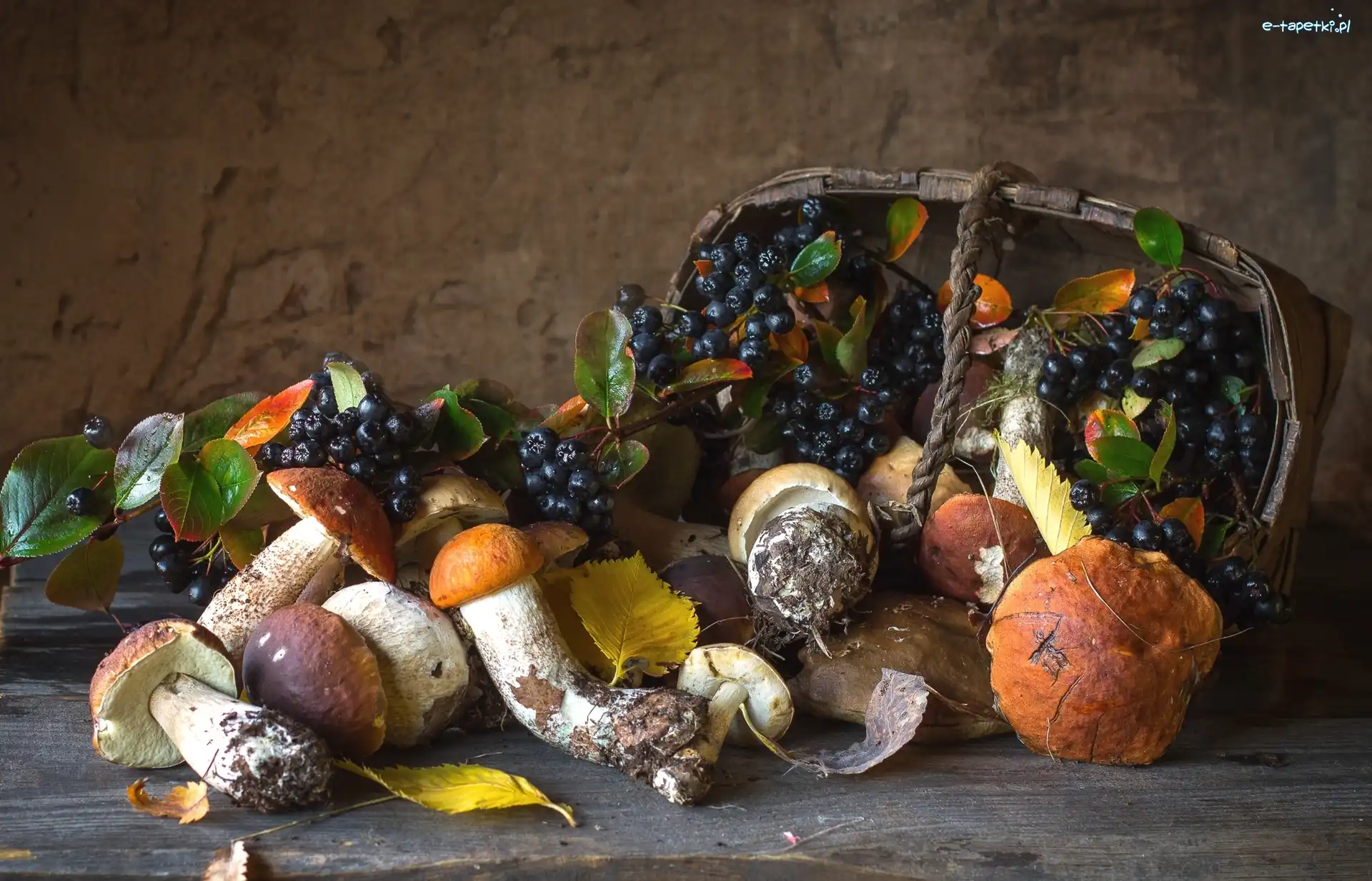 Aronia, Grzyby, Koszyk