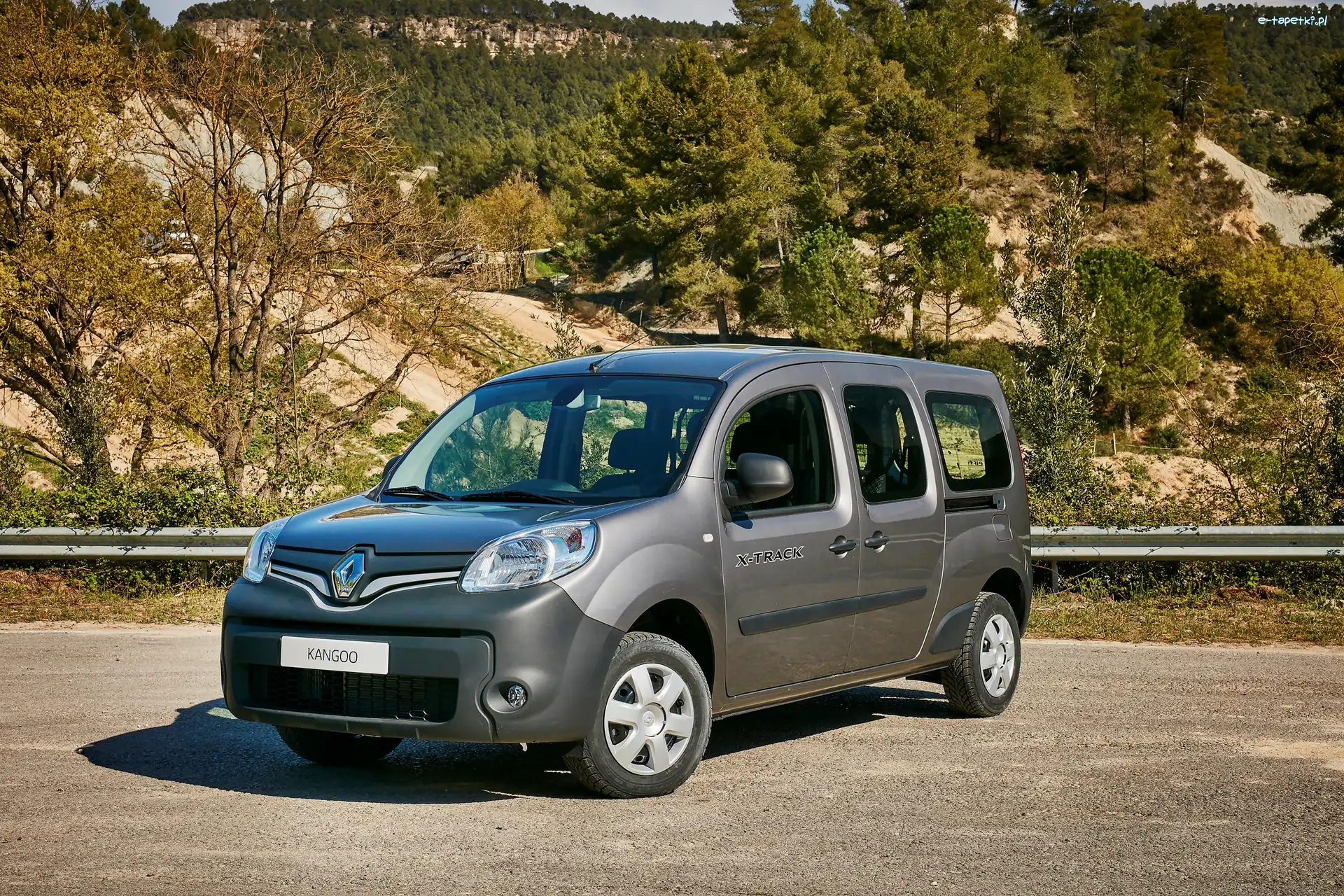 2016, Renault Kango X-Truck, Grafitowy